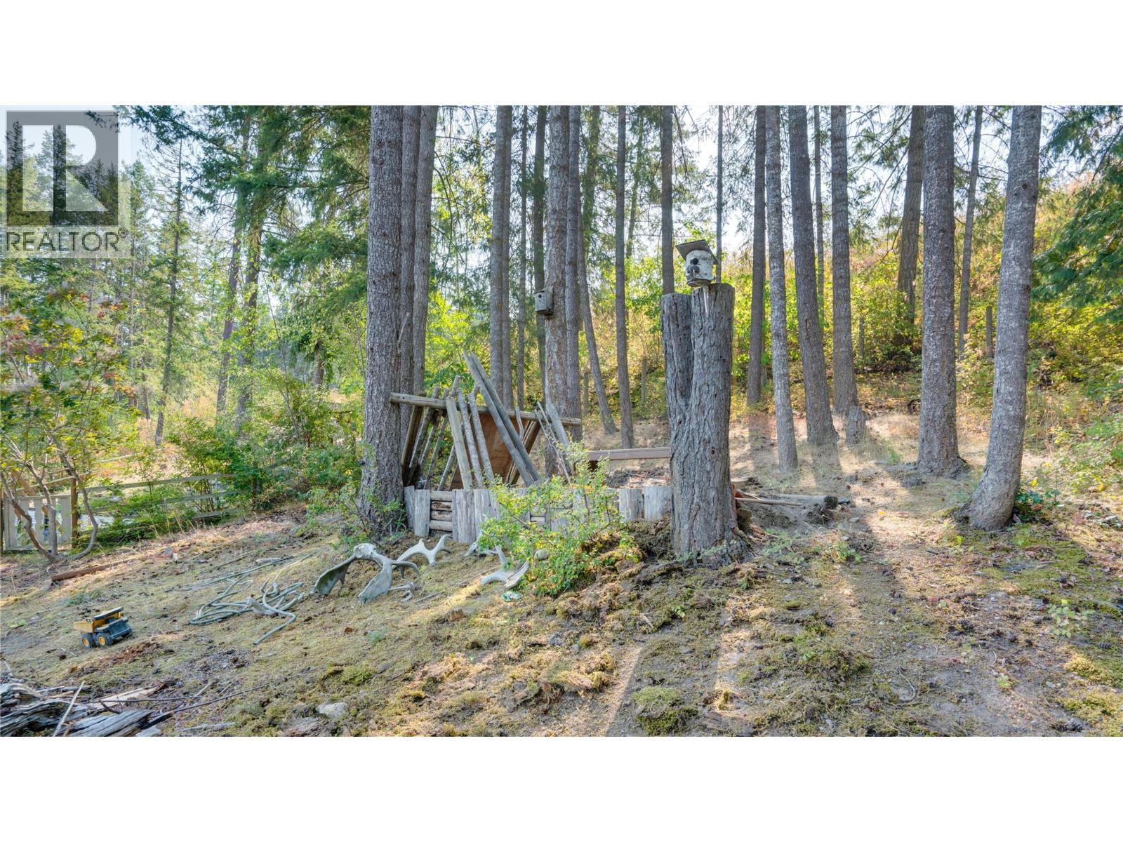 29 Preston Crescent, Enderby, British Columbia  V4Y 4C5 - Photo 54 - 10398972