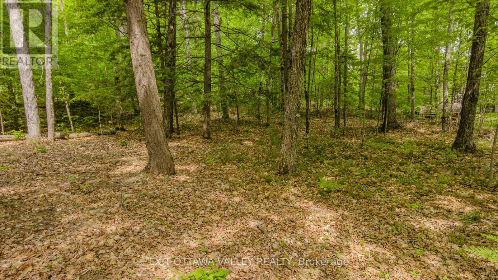 0 Lakeshore Drive, Hastings Highlands, Ontario  K0J 1L0 - Photo 32 - X13722496