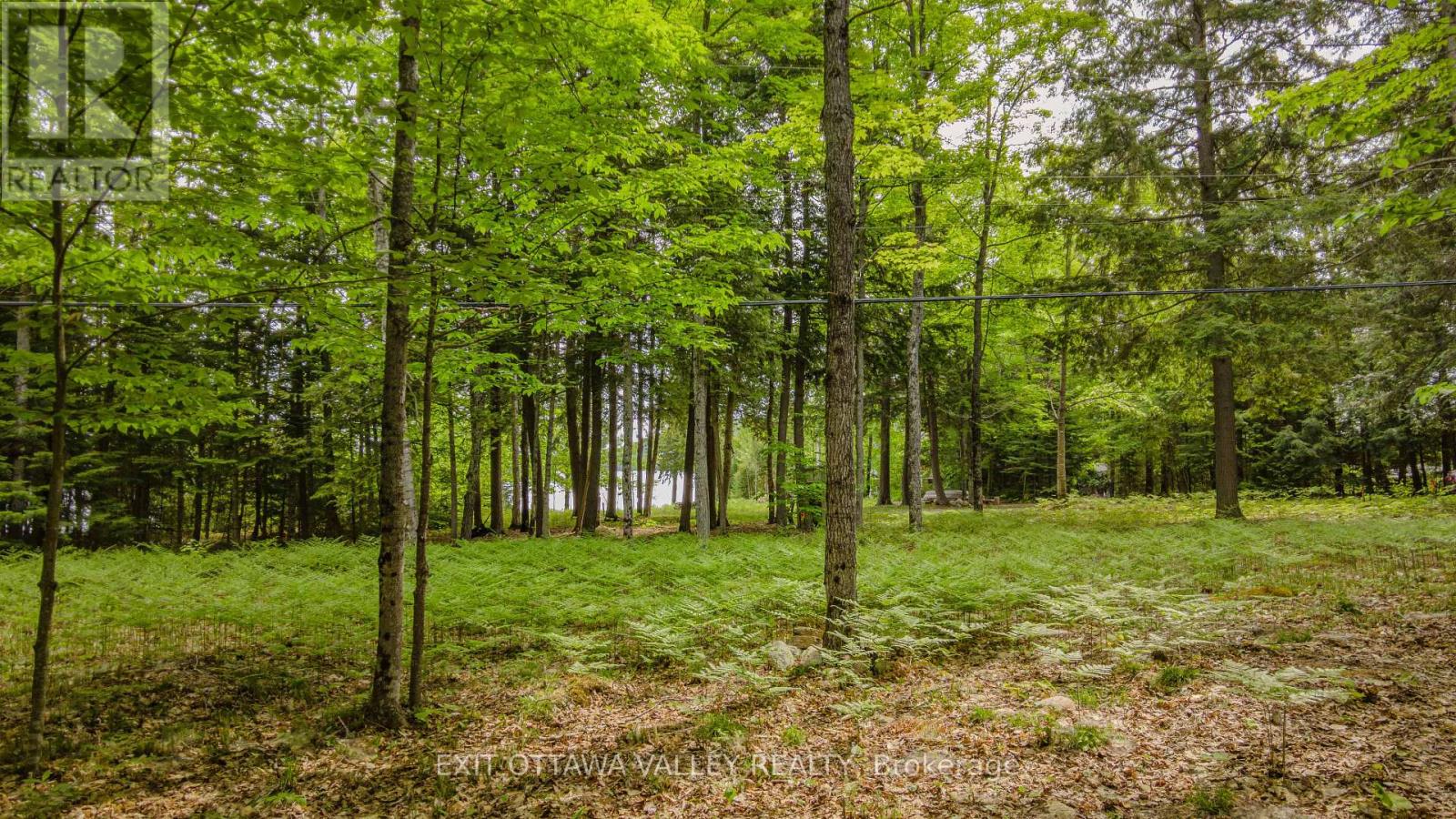 0 Lakeshore Drive, Hastings Highlands, Ontario  K0J 1L0 - Photo 33 - X13722496