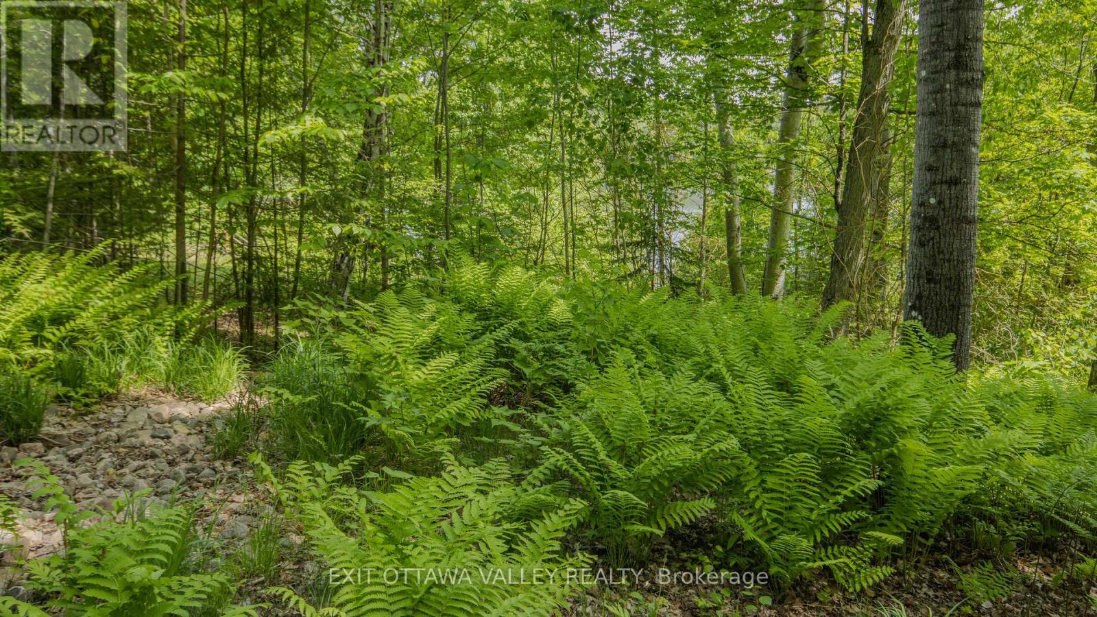 0 Lakeshore Drive, Hastings Highlands, Ontario  K0J 1L0 - Photo 39 - X13722496