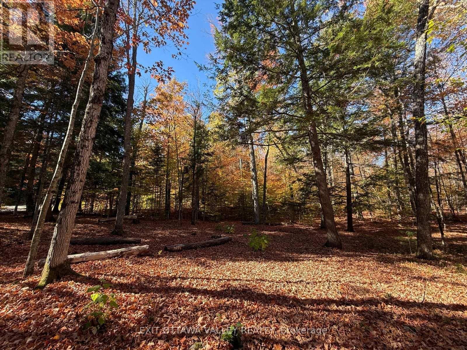 0 Lakeshore Drive, Hastings Highlands, Ontario  K0J 1L0 - Photo 40 - X13722496
