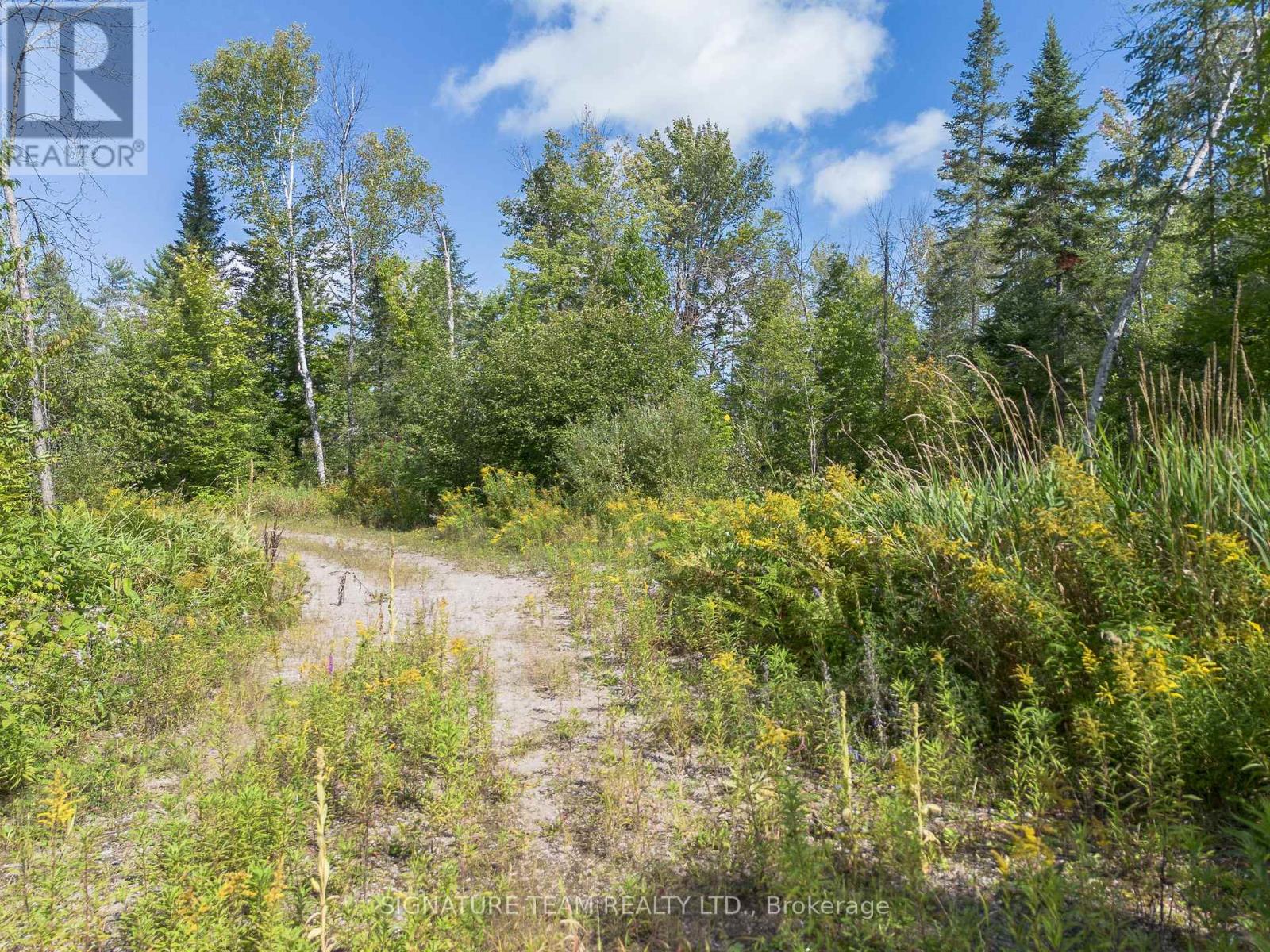 0 Mud Lake Road, Laurentian Valley, Ontario K8A 6W4 - Photo 11 - X13722530