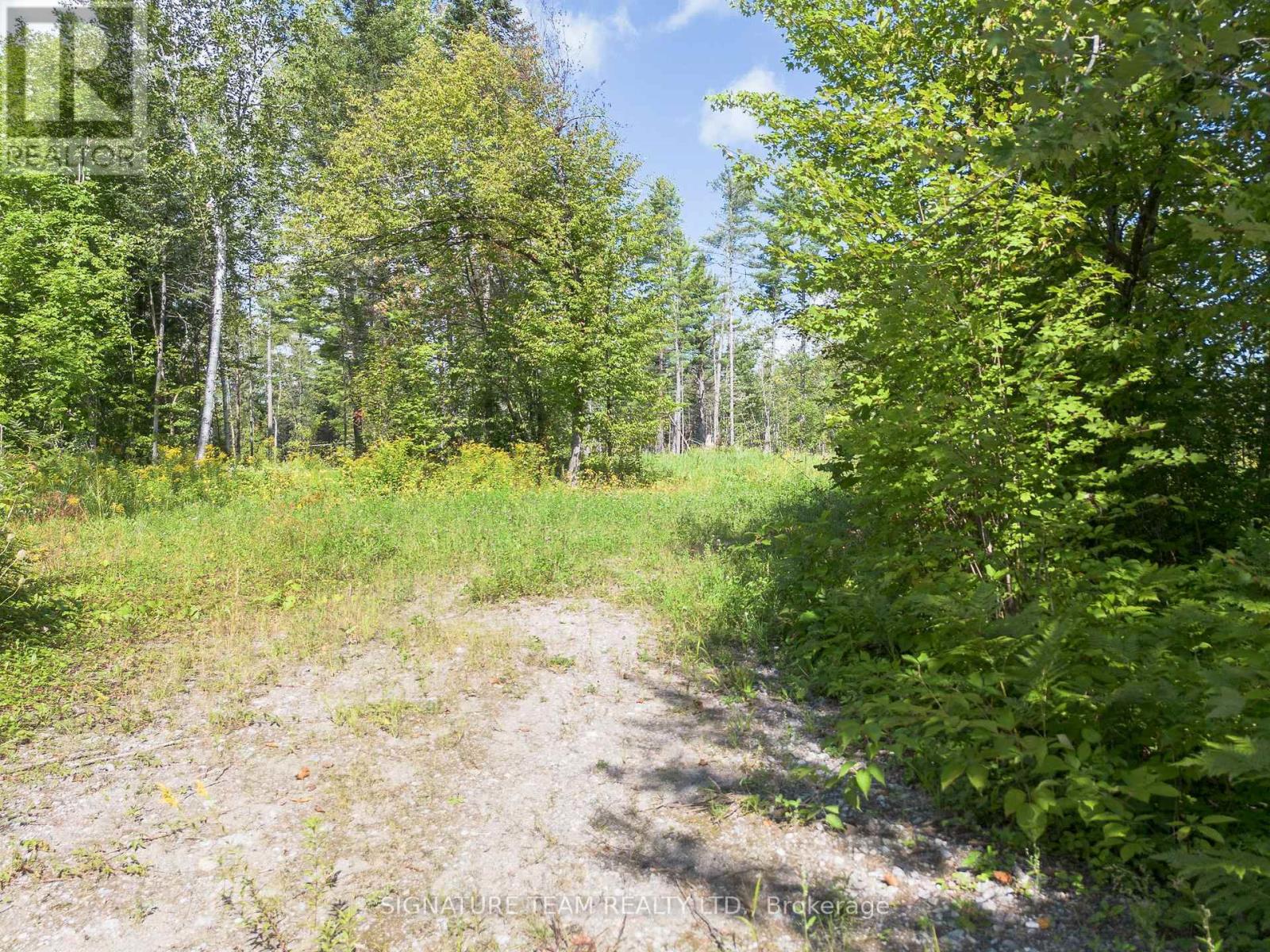 0 Mud Lake Road, Laurentian Valley, Ontario K8A 6W4 - Photo 12 - X13722530