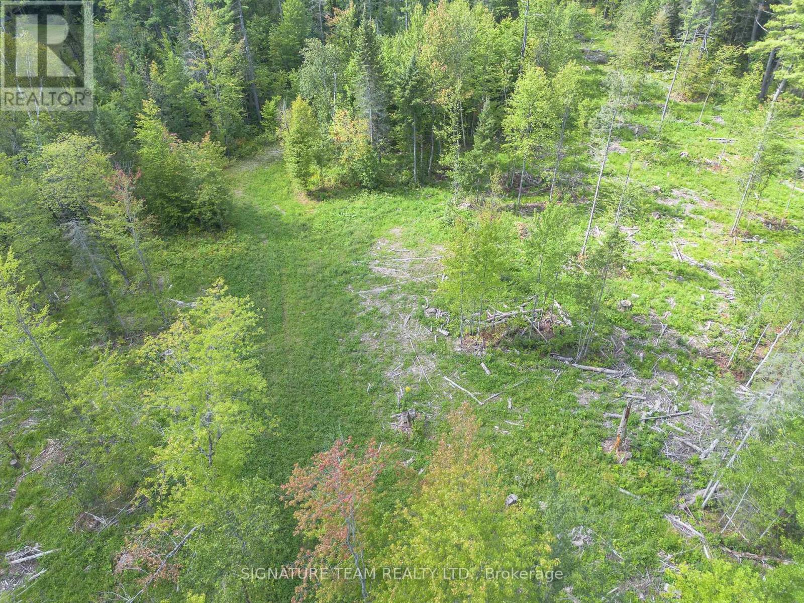0 Mud Lake Road, Laurentian Valley, Ontario K8A 6W4 - Photo 23 - X13722530