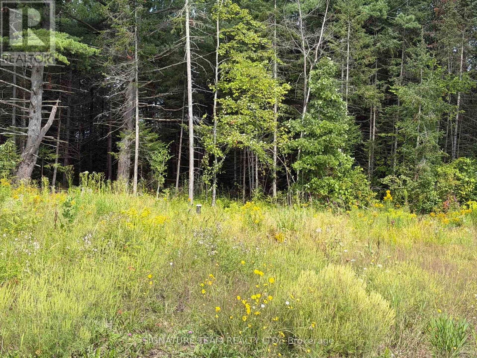 0 Mud Lake Road, Laurentian Valley, Ontario K8A 6W4 - Photo 24 - X13722530