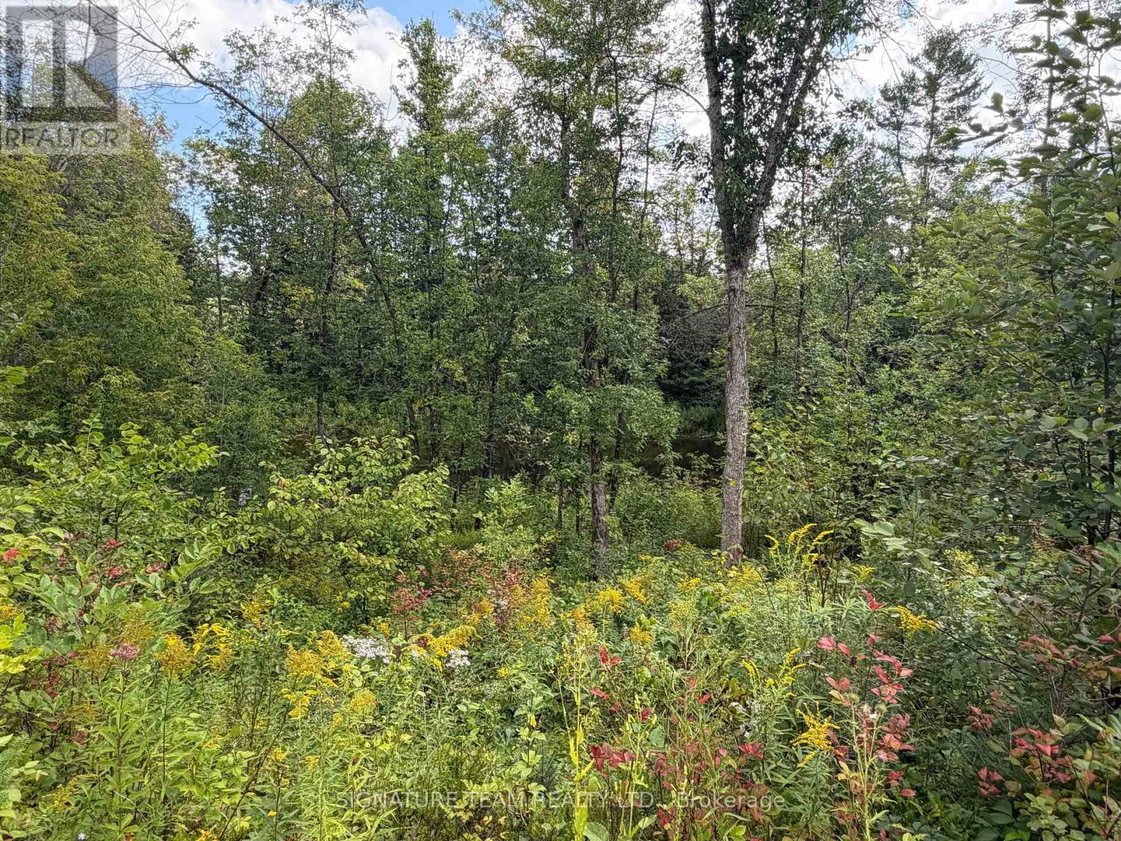 0 Mud Lake Road, Laurentian Valley, Ontario K8A 6W4 - Photo 25 - X13722530
