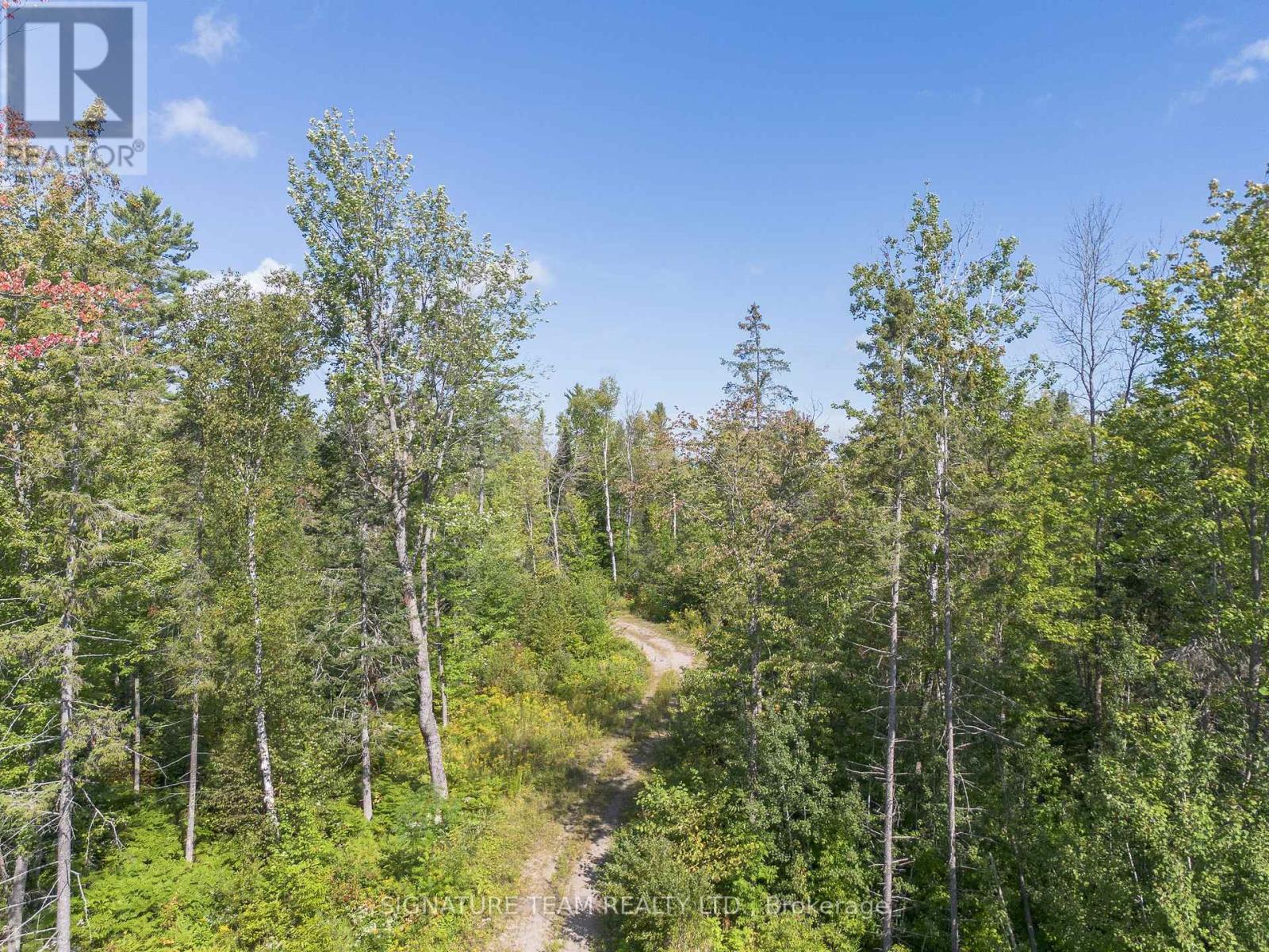 0 Mud Lake Road, Laurentian Valley, Ontario K8A 6W4 - Photo 4 - X13722530