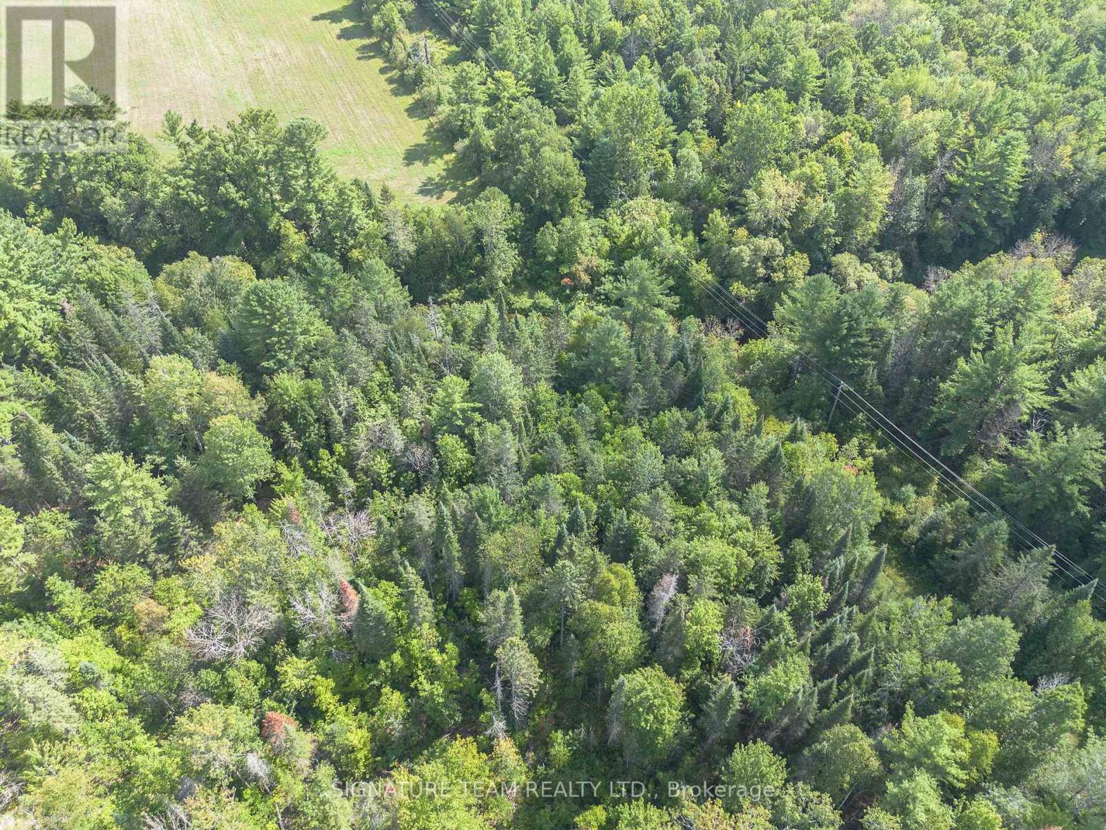 0 Mud Lake Road, Laurentian Valley, Ontario K8A 6W4 - Photo 9 - X13722530