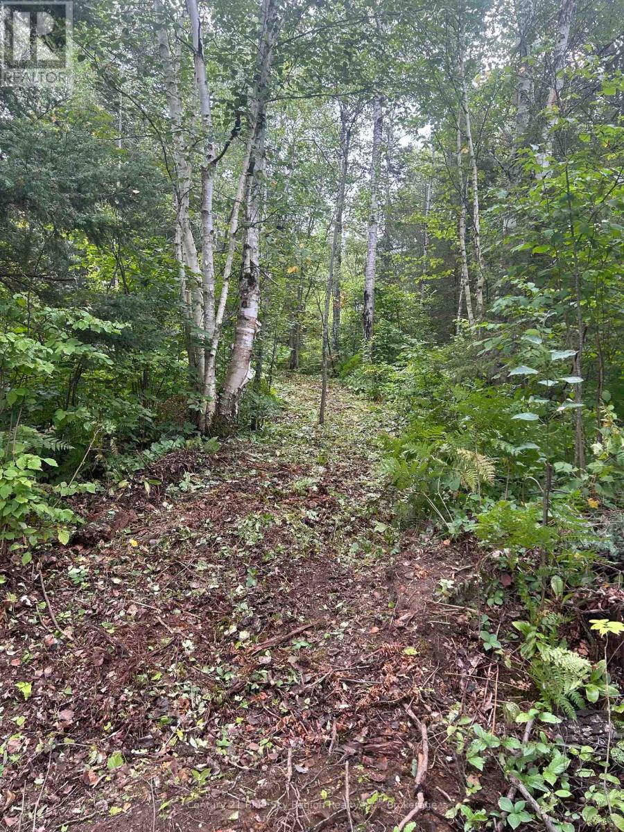 Part Lot 4 Highway 64, West Nipissing, Ontario  P0H 1L0 - Photo 12 - X13662358