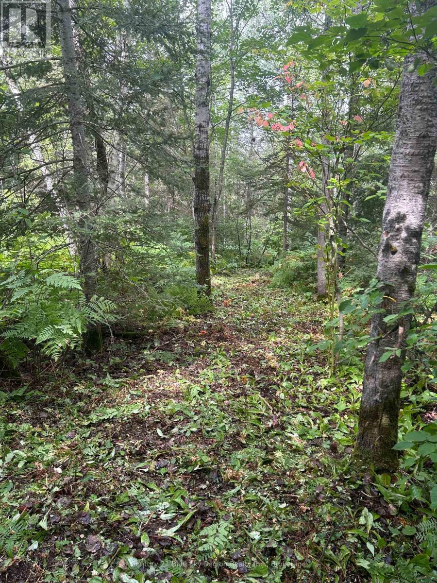 Part Lot 4 Highway 64, West Nipissing, Ontario  P0H 1L0 - Photo 13 - X13662358