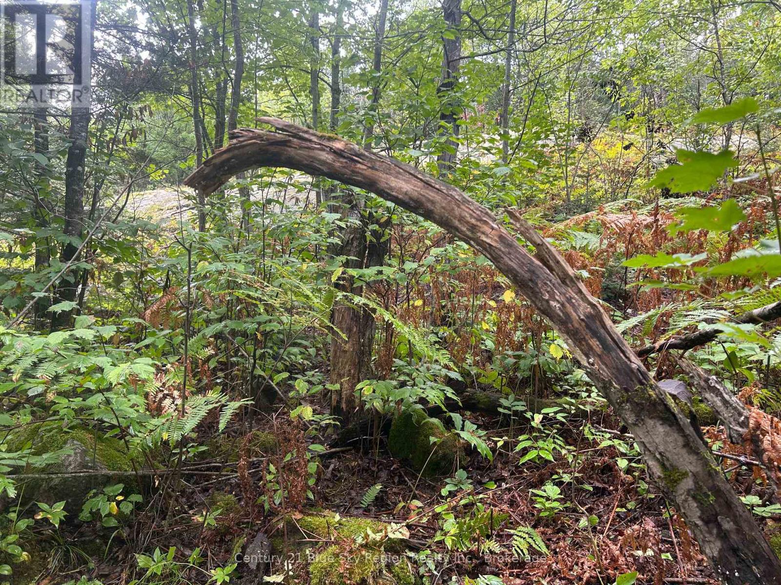 Part Lot 4 Highway 64, West Nipissing, Ontario  P0H 1L0 - Photo 15 - X13662358