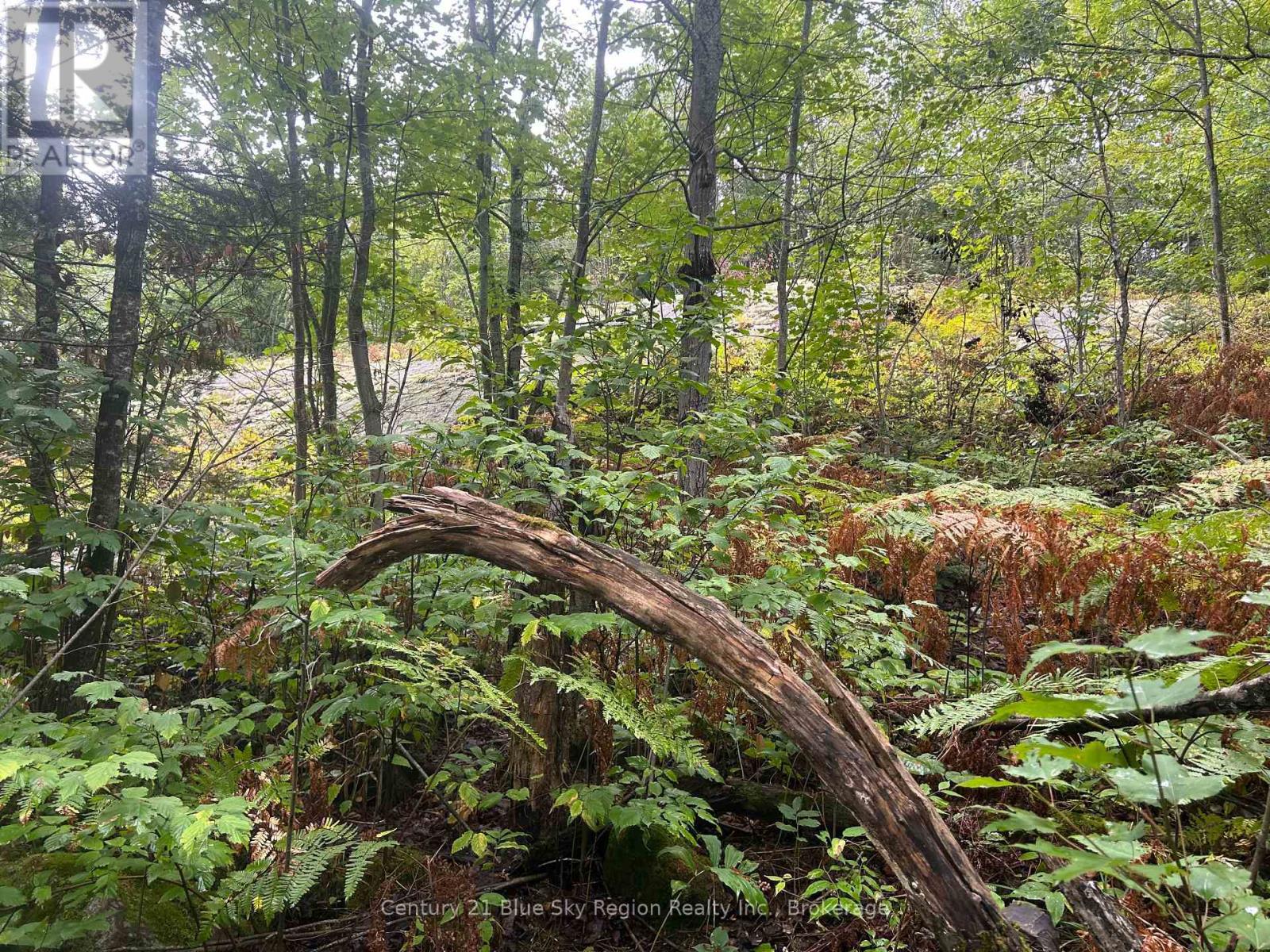Part Lot 4 Highway 64, West Nipissing, Ontario  P0H 1L0 - Photo 14 - X13662358