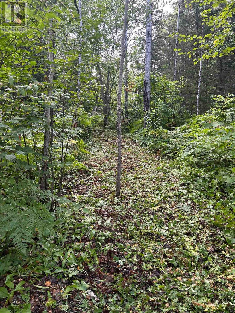 Part Lot 4 Highway 64, West Nipissing, Ontario  P0H 1L0 - Photo 11 - X13662358
