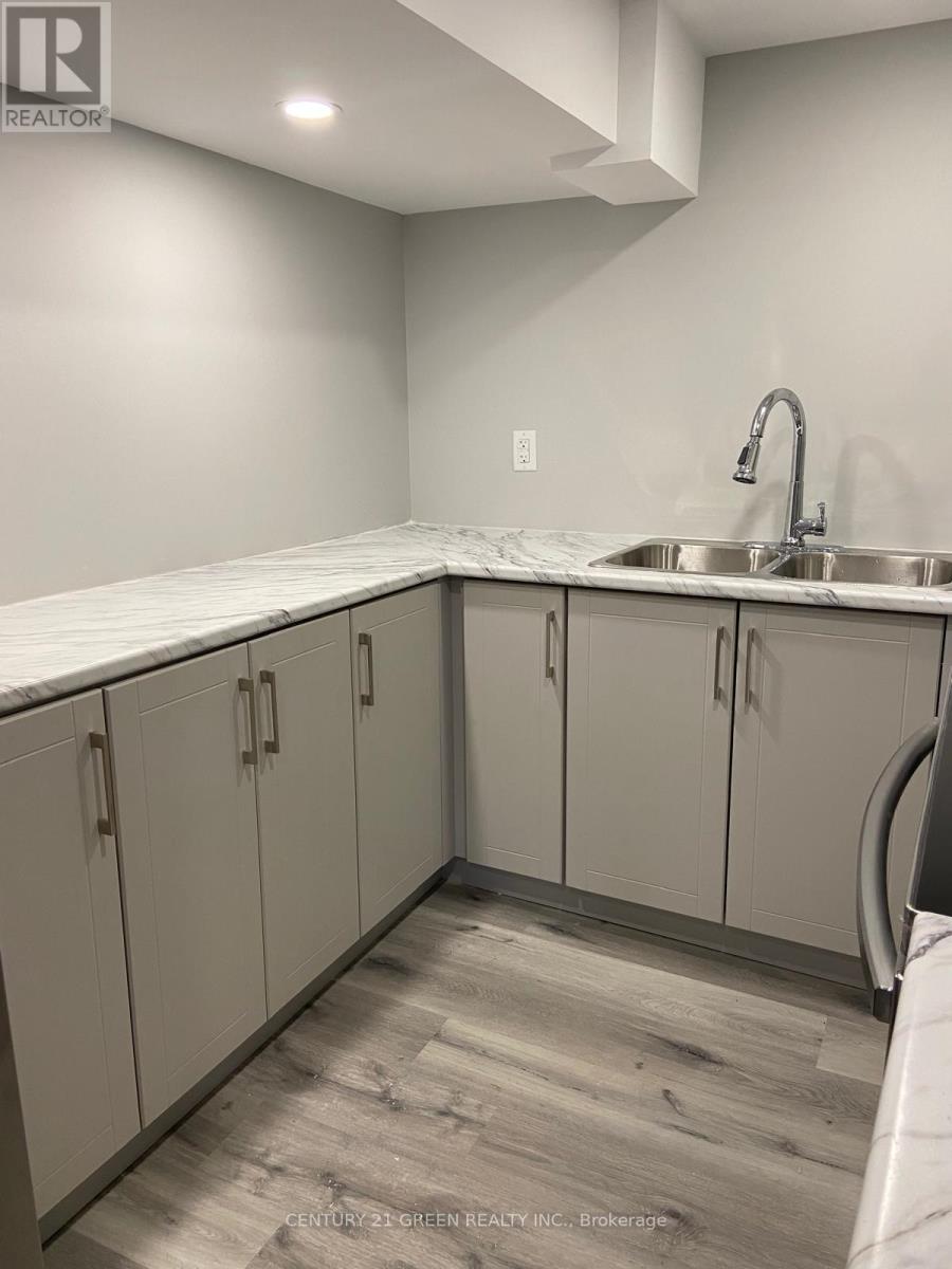 Basement - 179 Huddlestone Crescent, Milton, Ontario  L9T 8G1 - Photo 14 - W13722756