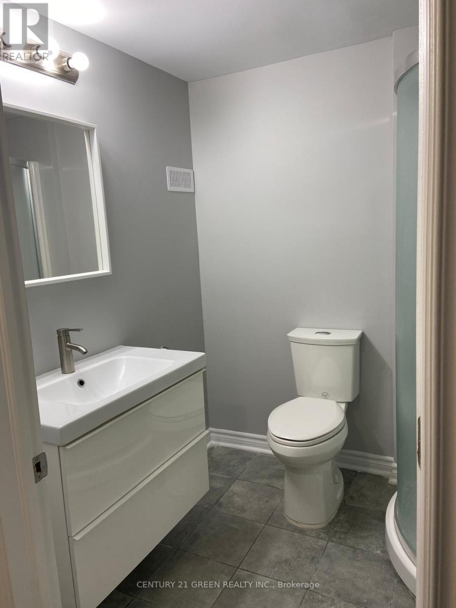 Basement - 179 Huddlestone Crescent, Milton, Ontario  L9T 8G1 - Photo 4 - W13722756