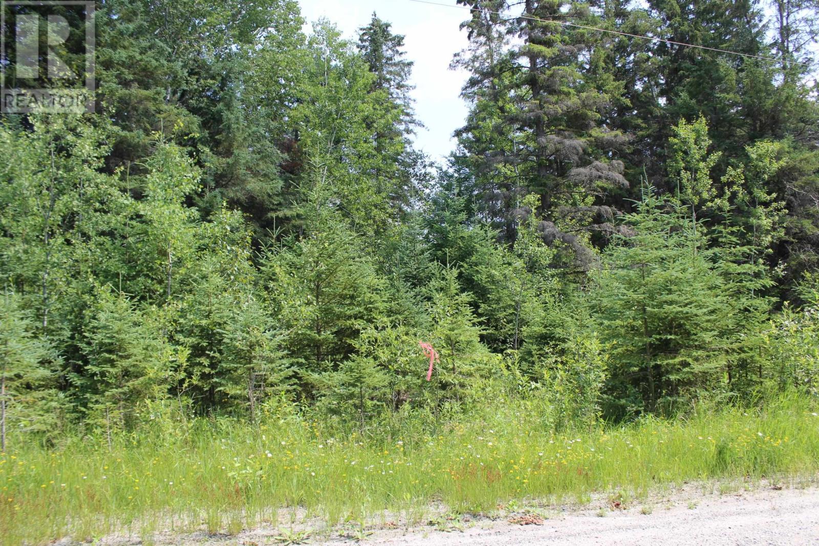 Pcl 9872 Hwy 619, Bergland, Ontario  P0W 1M0 - Photo 12 - TB2601948