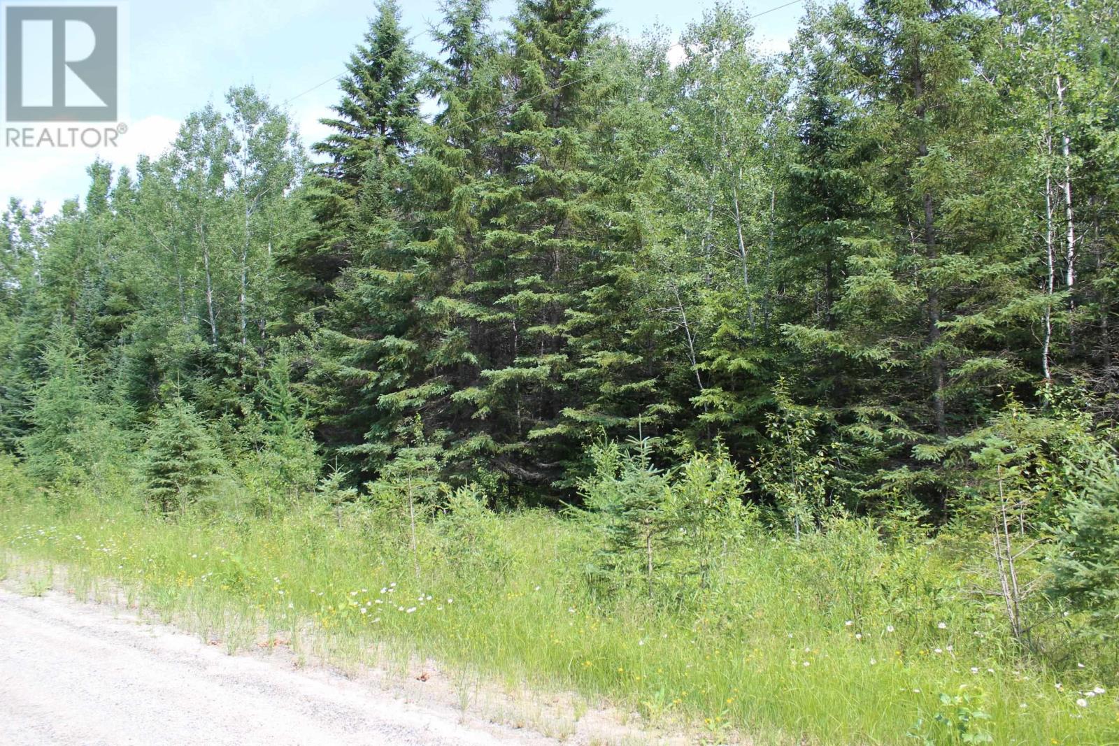 Pcl 9872 Hwy 619, Bergland, Ontario  P0W 1M0 - Photo 10 - TB2601948
