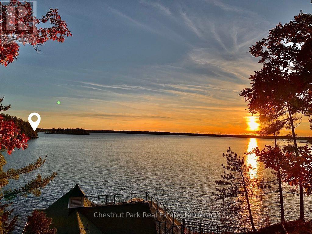 West Side Of Island M81 - Pine Island, Muskoka Lakes, Ontario  P1L 1W8 - Photo 6 - X13722934
