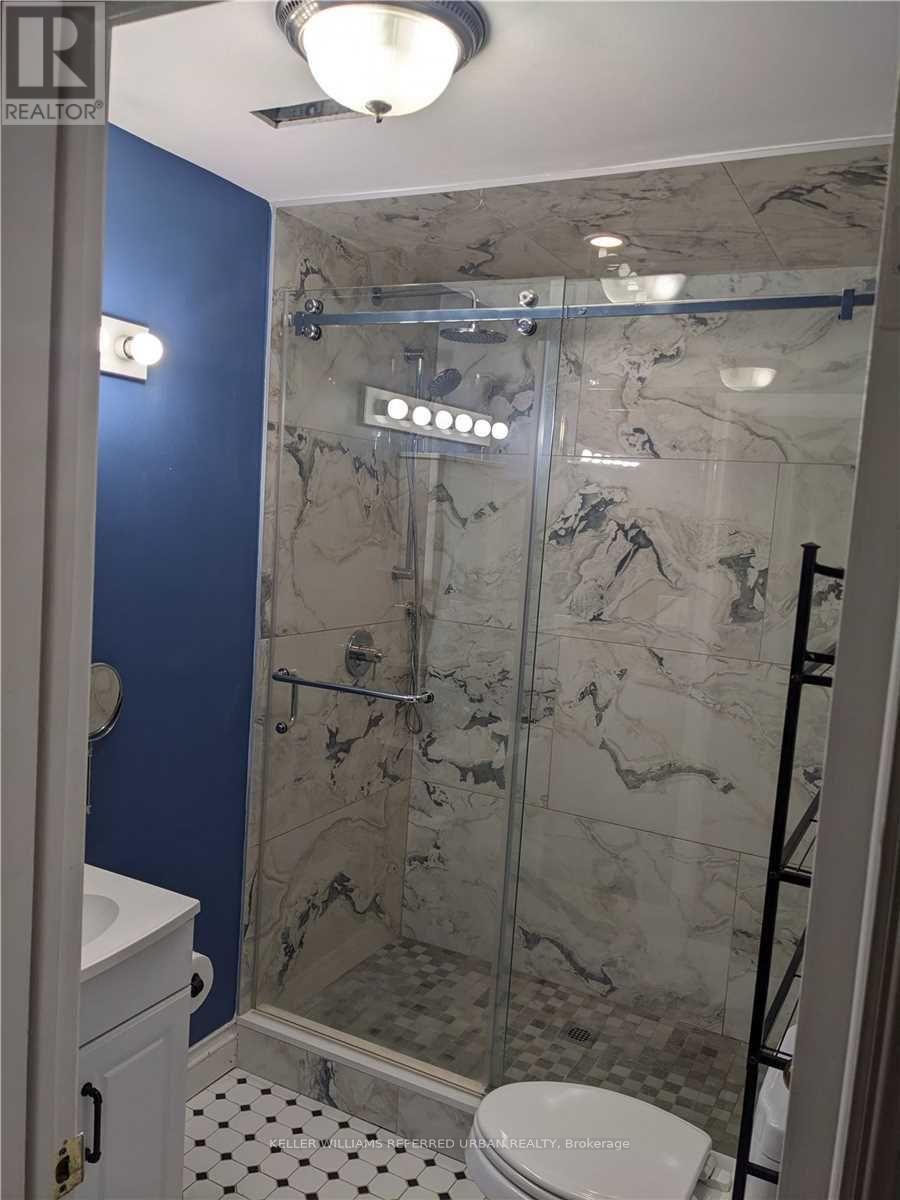 Lower - 132 Old Surrey Lane, Richmond Hill, Ontario  L4C 8S6 - Photo 9 - N13722876