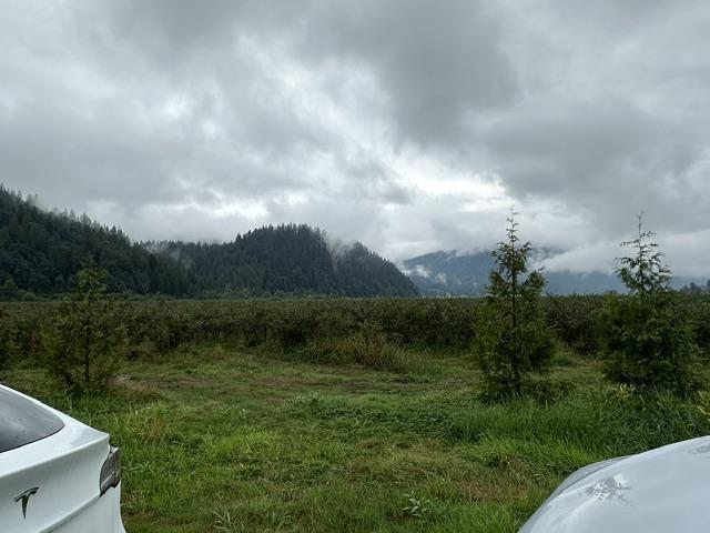 35196 Sward Road, Mission, British Columbia  V2V 7H2 - Photo 10 - R3159564