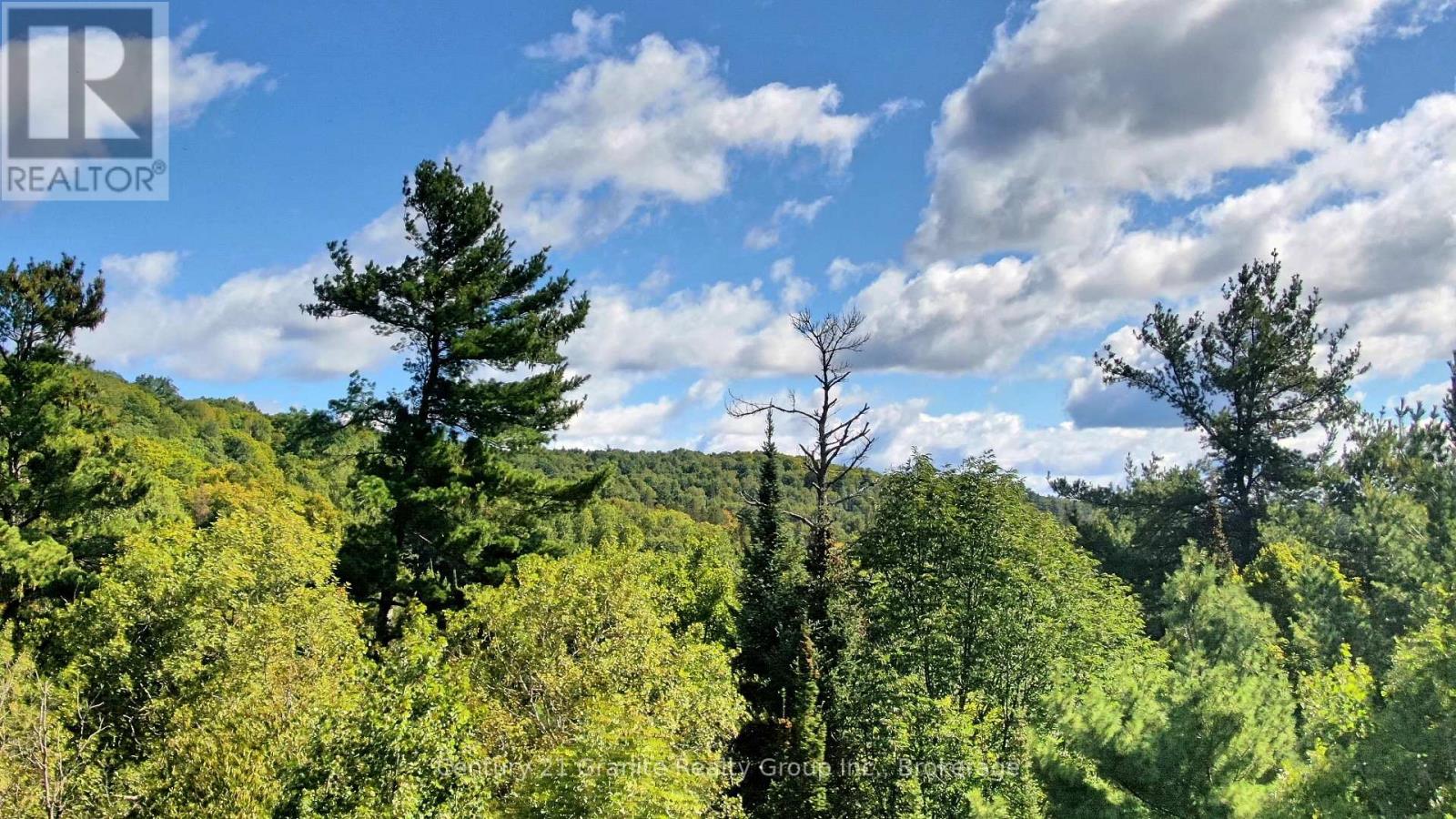 0 28 Highway E, Bancroft, Ontario  K0L 1C0 - Photo 13 - X13723044