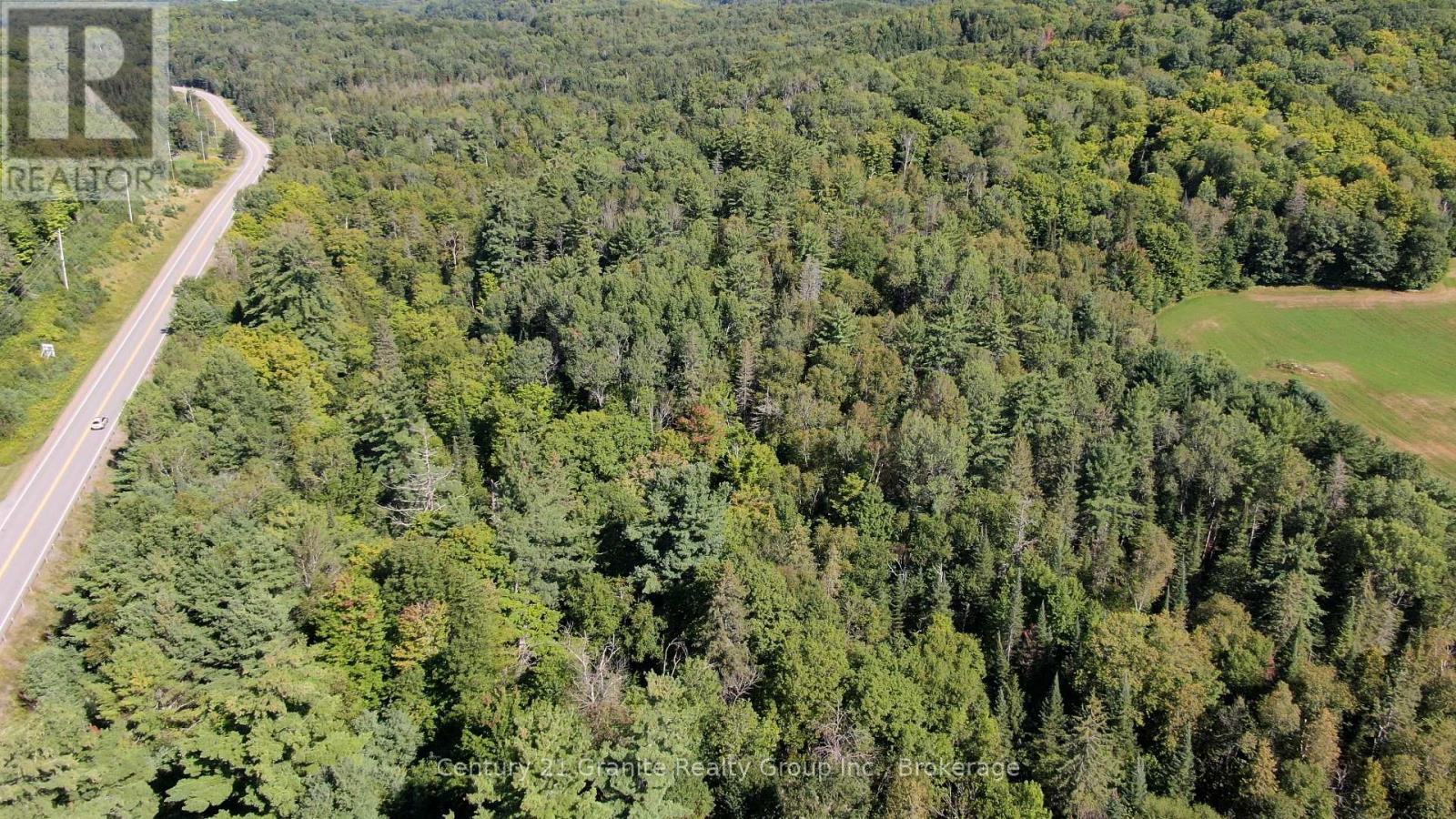 0 28 Highway E, Bancroft, Ontario  K0L 1C0 - Photo 4 - X13723044