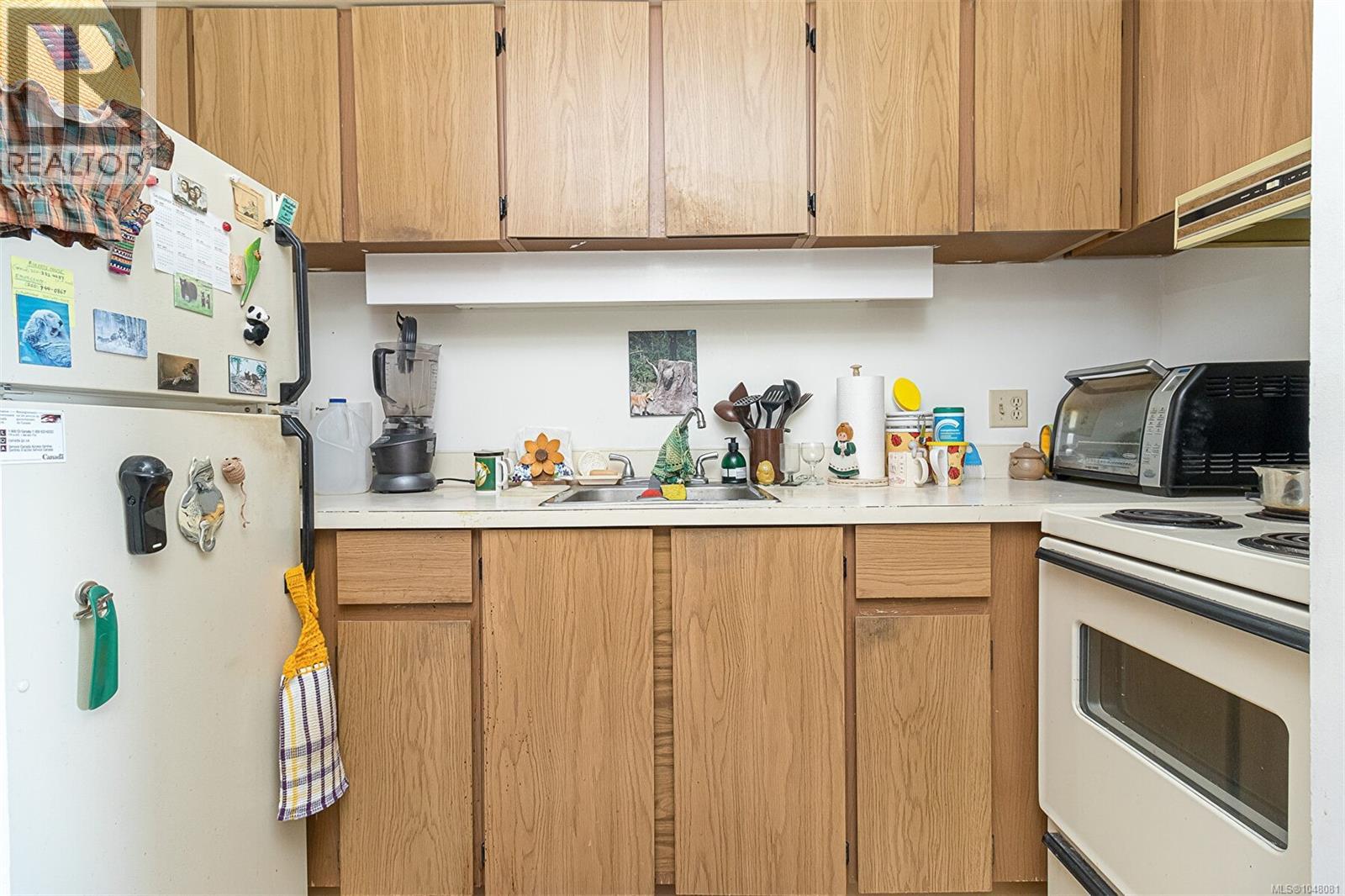 1003 620 Toronto St, Victoria, British Columbia  V8V 1P7 - Photo 14 - 1048081