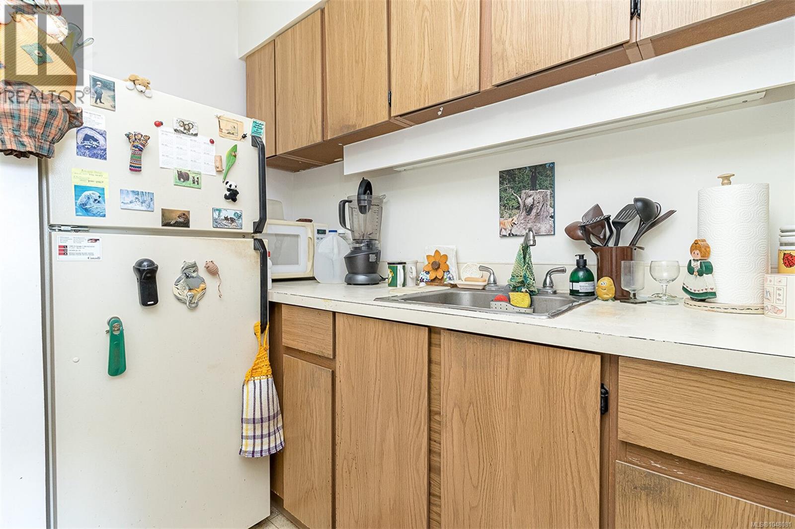 1003 620 Toronto St, Victoria, British Columbia  V8V 1P7 - Photo 15 - 1048081