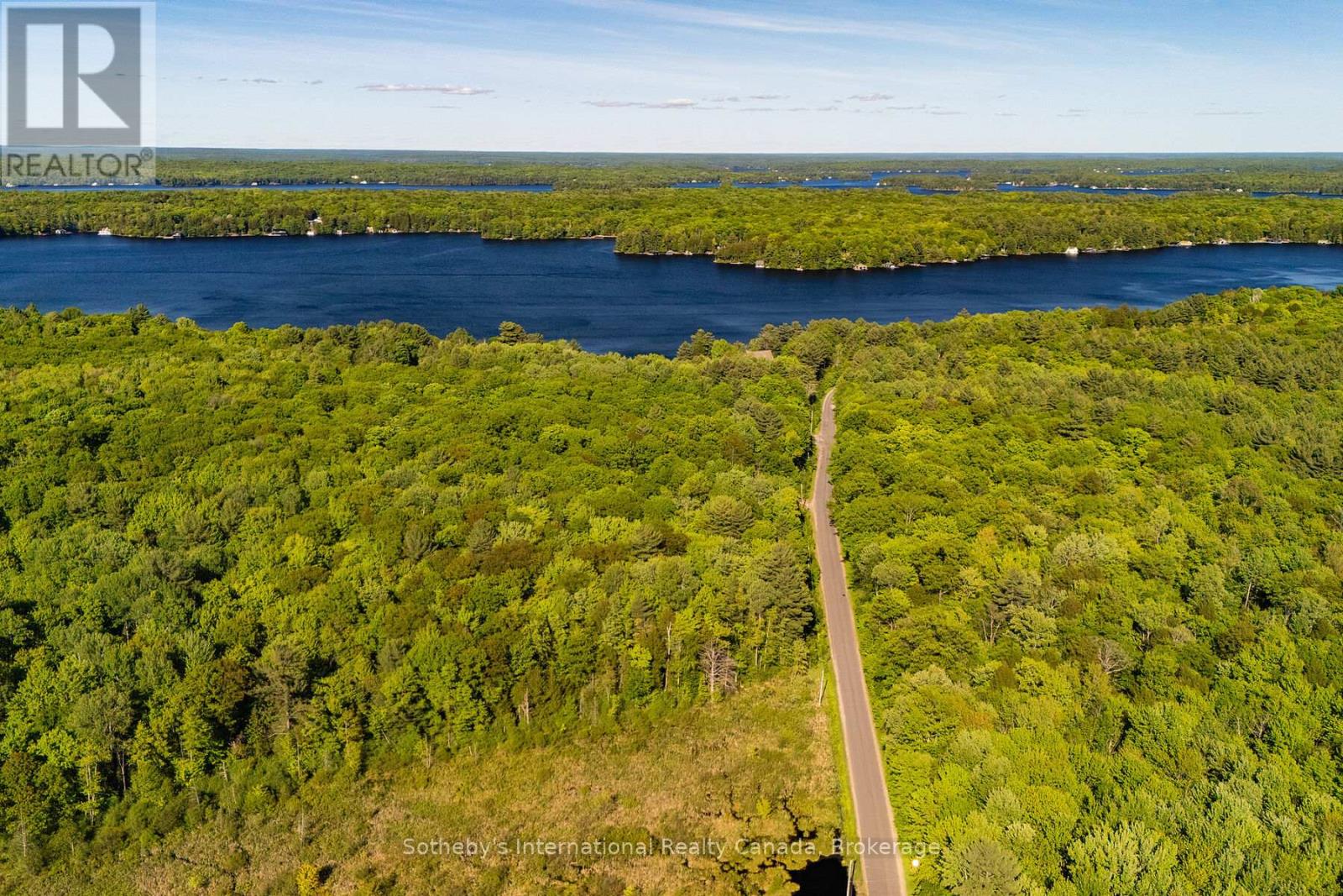0 Dudley Road, Muskoka Lakes, Ontario  P0B 1J0 - Photo 4 - X13225334