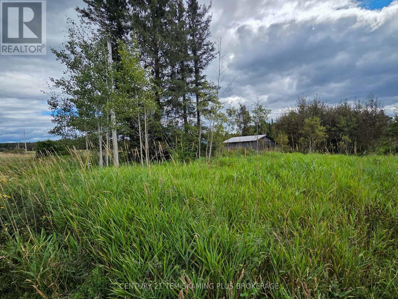 426367 Birch Drive, Englehart, Ontario  P0J 1H0 - Photo 18 - T13723392