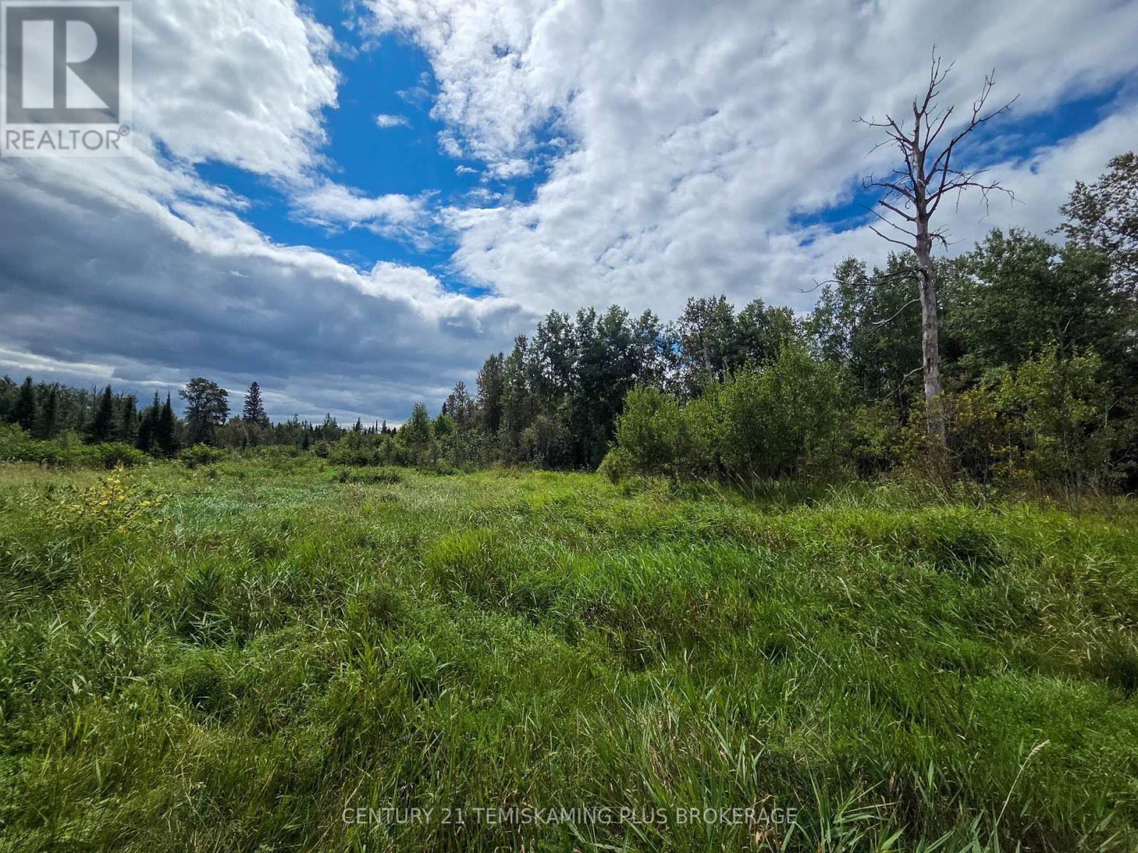 426367 Birch Drive, Englehart, Ontario  P0J 1H0 - Photo 19 - T13723392