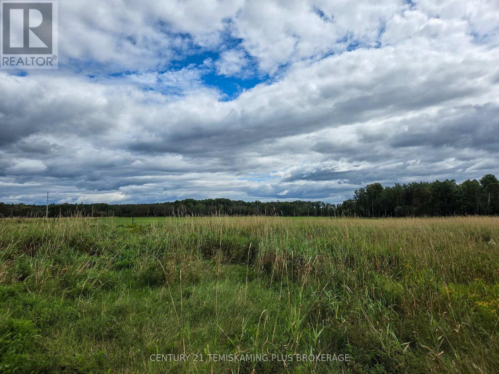 426367 Birch Drive, Englehart, Ontario  P0J 1H0 - Photo 27 - T13723392