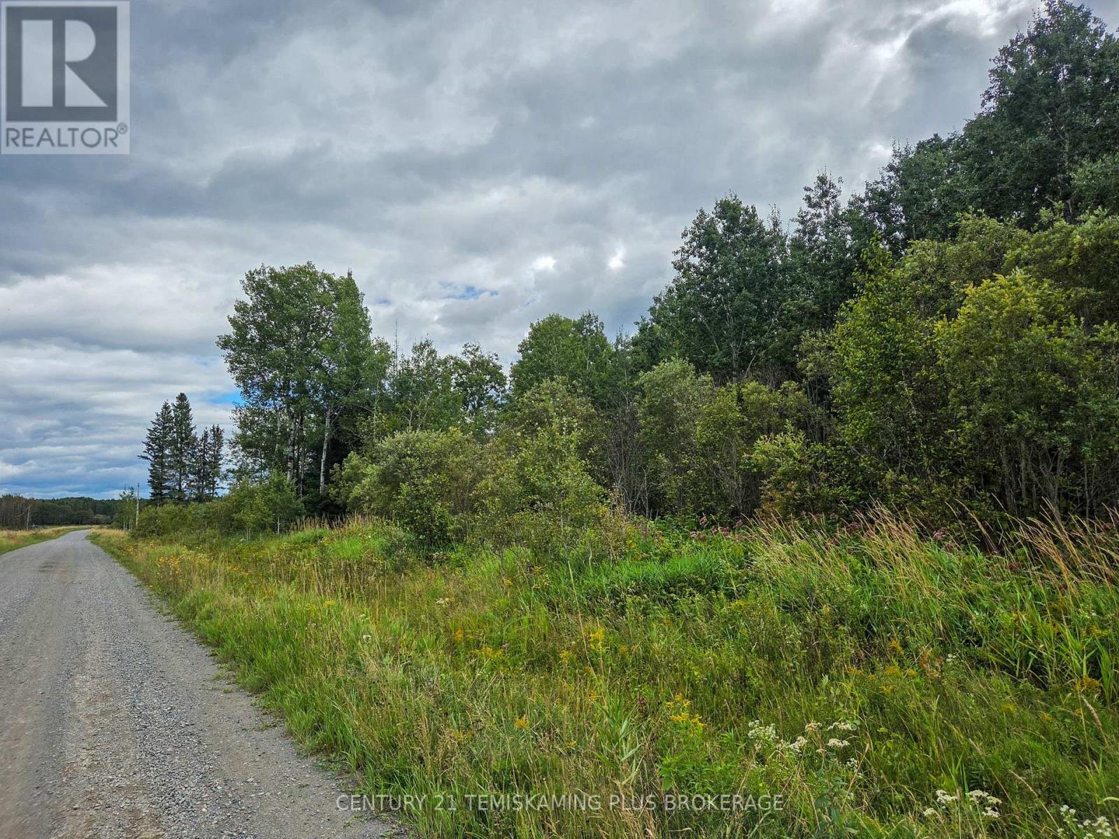 426367 Birch Drive, Englehart, Ontario  P0J 1H0 - Photo 34 - T13723392
