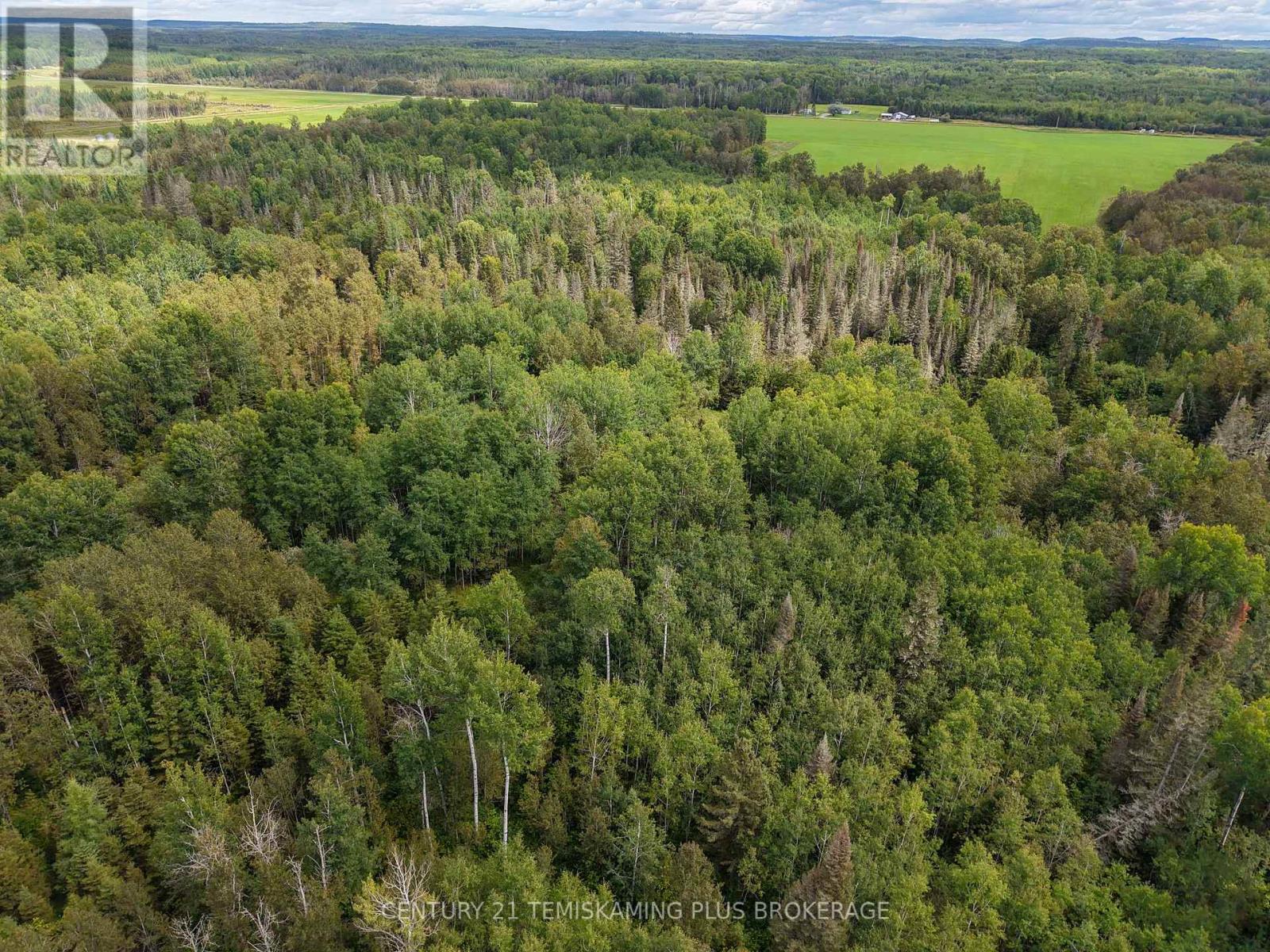 426367 Birch Drive, Englehart, Ontario  P0J 1H0 - Photo 7 - T13723392