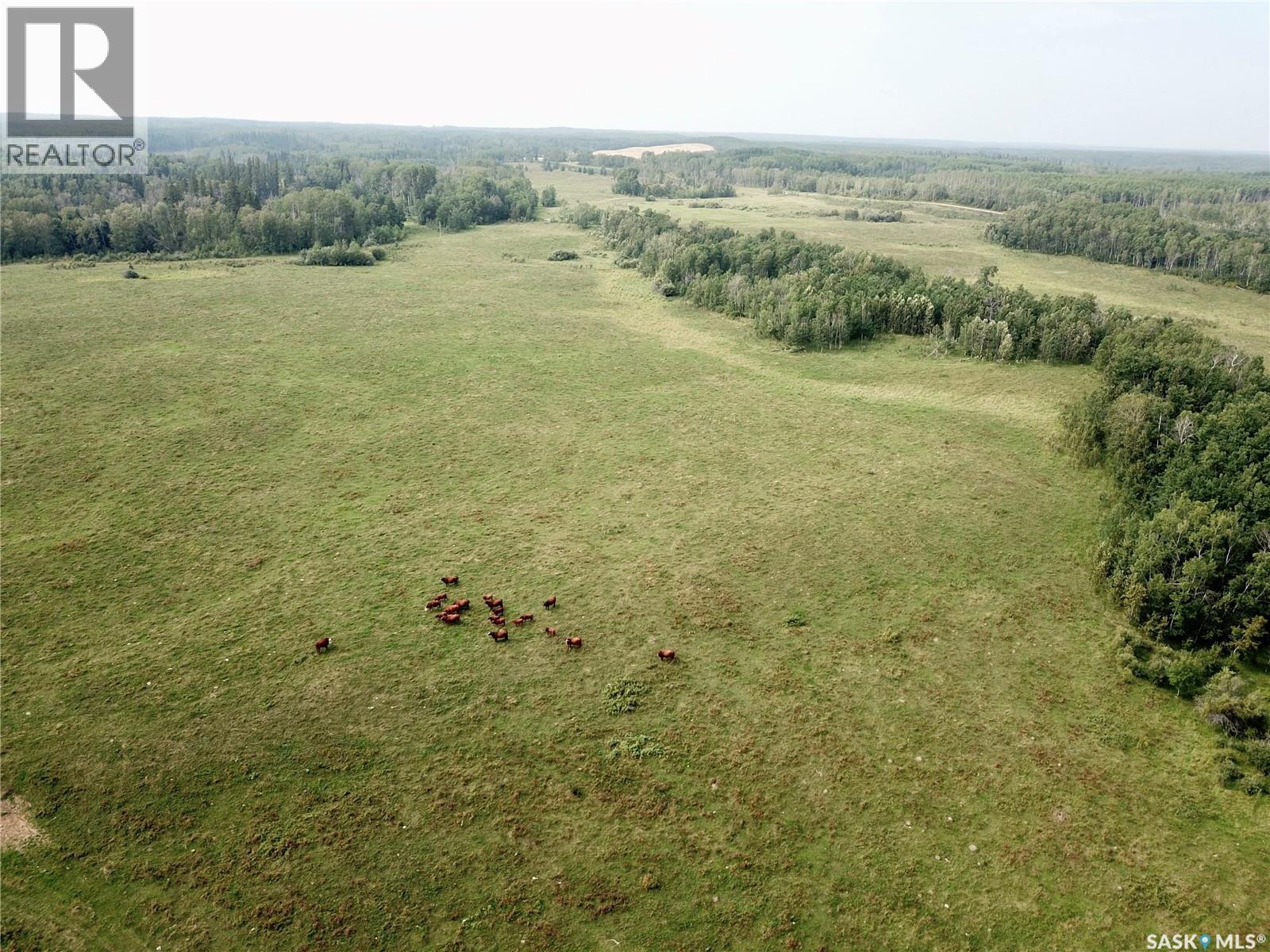 Page Pasture Half Section - N 1/2 of 31-50-08-W3, Spiritwood Rm No. 496, Saskatchewan