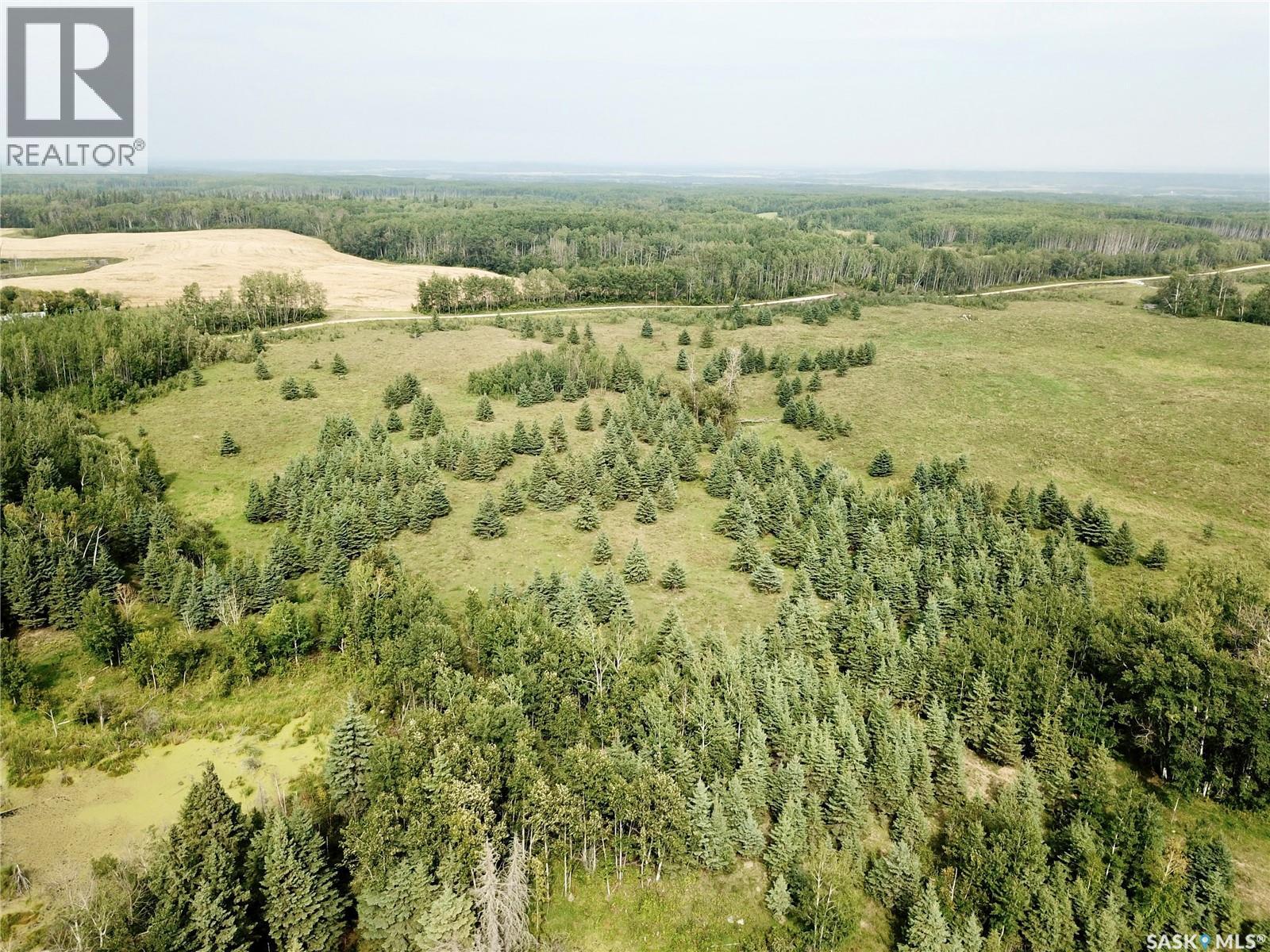 Page Pasture Half Section - N 1/2 Of 31-50-08-W3, Spiritwood Rm No. 496, Saskatchewan  S0J 2G0 - Photo 19 - SK046875