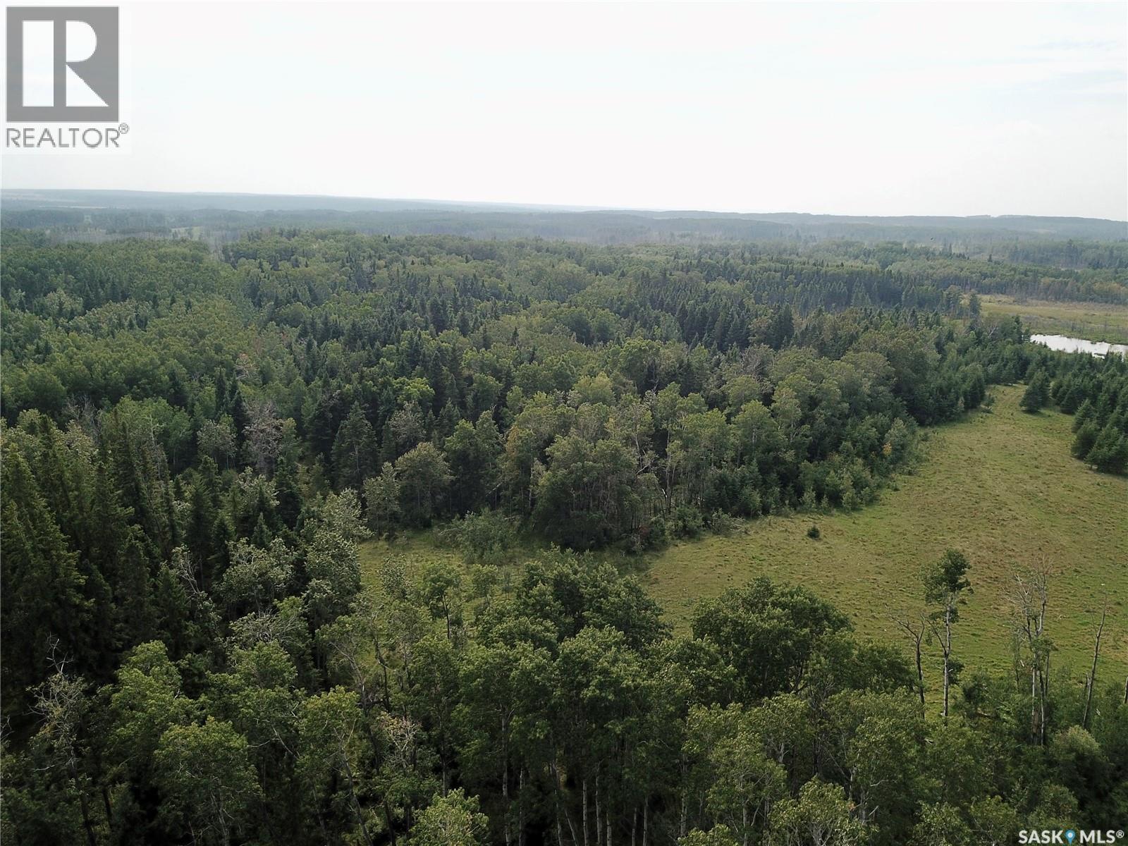 Page Pasture Half Section - N 1/2 Of 31-50-08-W3, Spiritwood Rm No. 496, Saskatchewan  S0J 2G0 - Photo 20 - SK046875