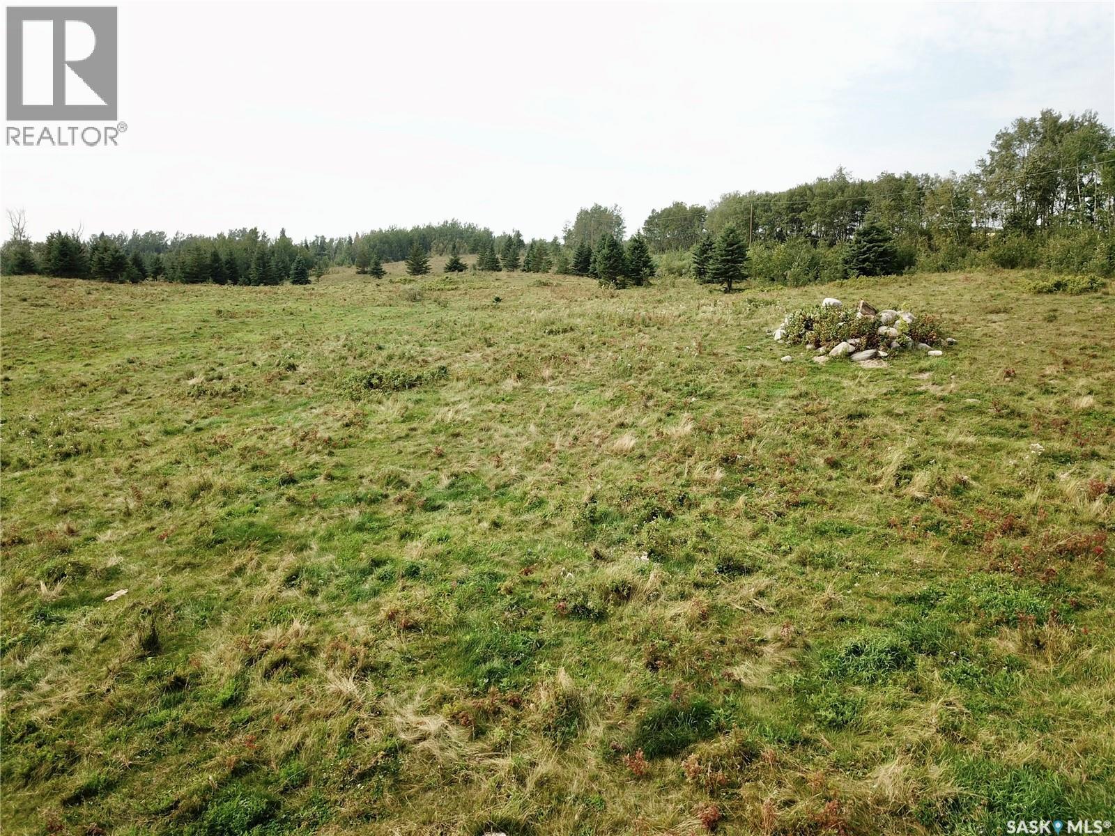 Page Pasture Half Section - N 1/2 Of 31-50-08-W3, Spiritwood Rm No. 496, Saskatchewan  S0J 2G0 - Photo 21 - SK046875
