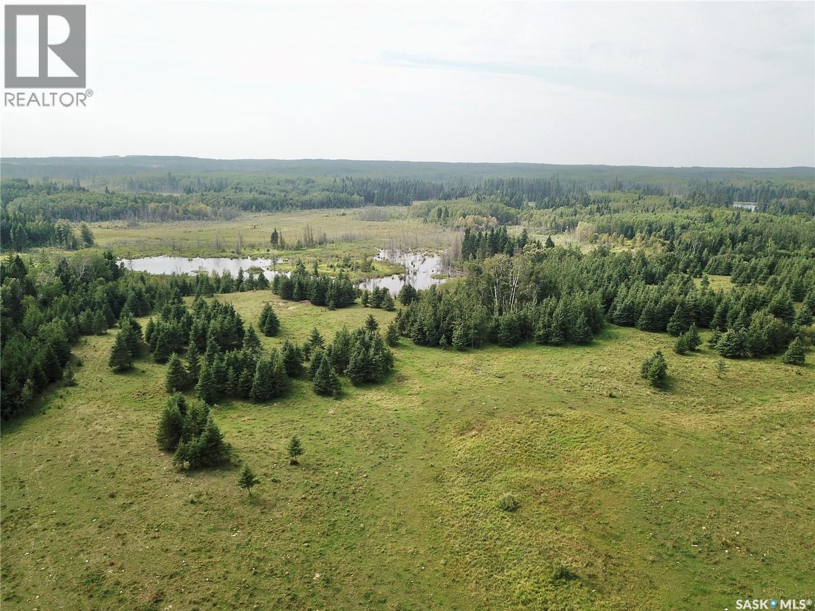 Page Pasture Half Section - N 1/2 Of 31-50-08-W3, Spiritwood Rm No. 496, Saskatchewan  S0J 2G0 - Photo 22 - SK046875