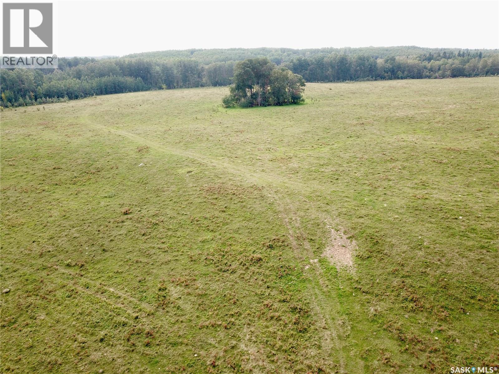 Page Pasture Half Section - N 1/2 Of 31-50-08-W3, Spiritwood Rm No. 496, Saskatchewan  S0J 2G0 - Photo 23 - SK046875