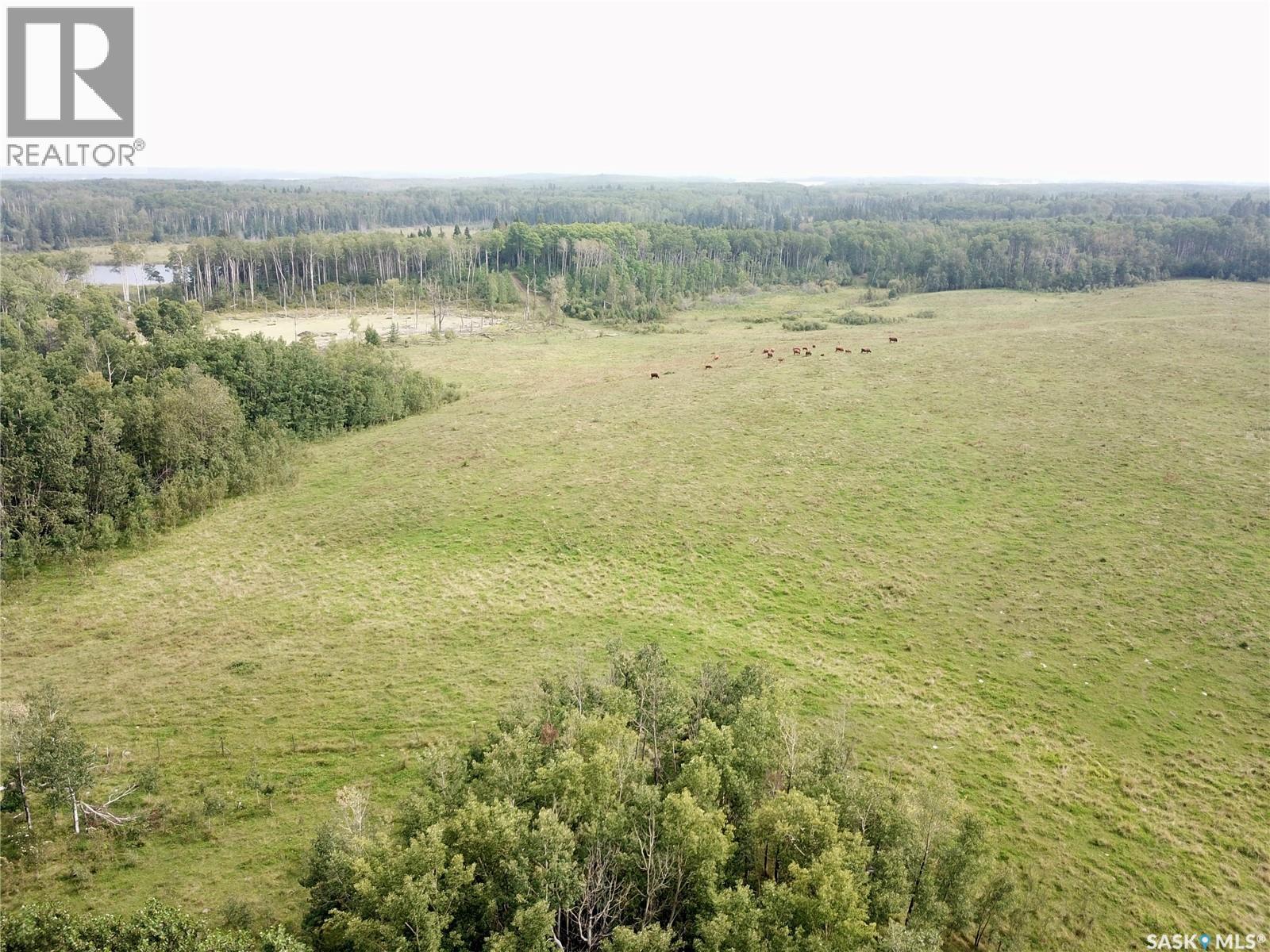 Page Pasture Half Section - N 1/2 Of 31-50-08-W3, Spiritwood Rm No. 496, Saskatchewan  S0J 2G0 - Photo 24 - SK046875