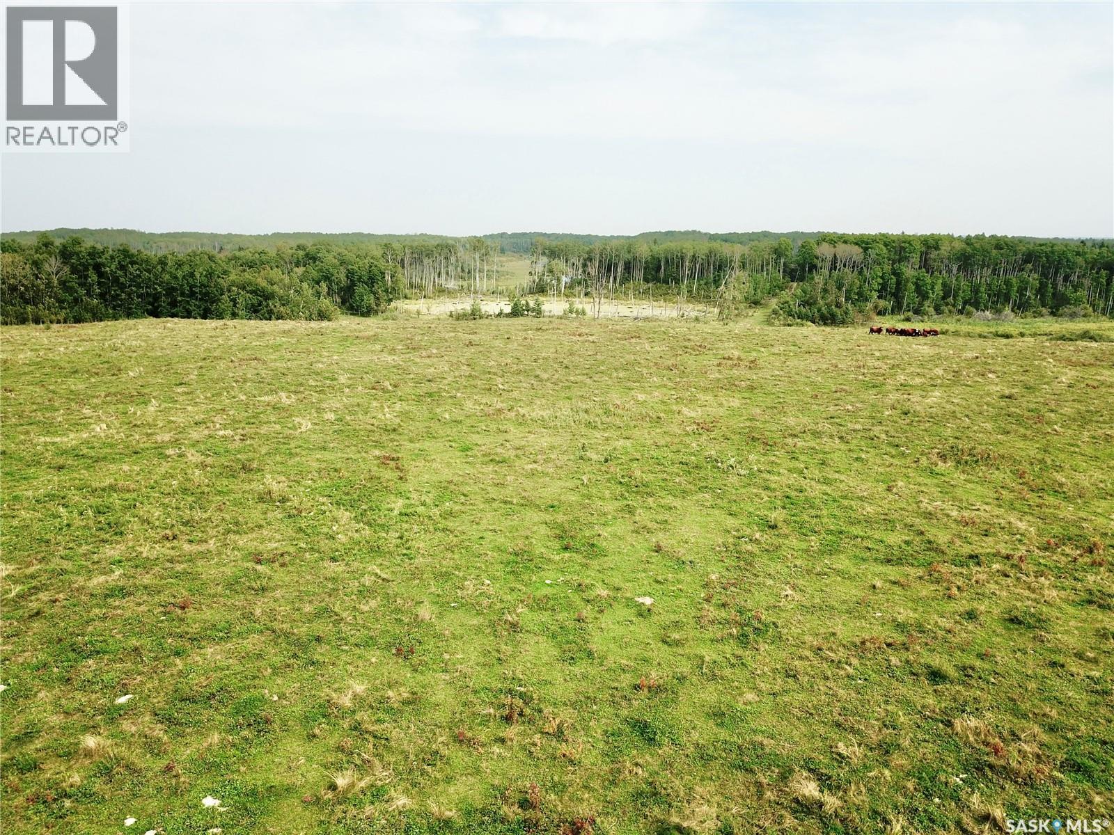 Page Pasture Half Section - N 1/2 Of 31-50-08-W3, Spiritwood Rm No. 496, Saskatchewan  S0J 2G0 - Photo 25 - SK046875