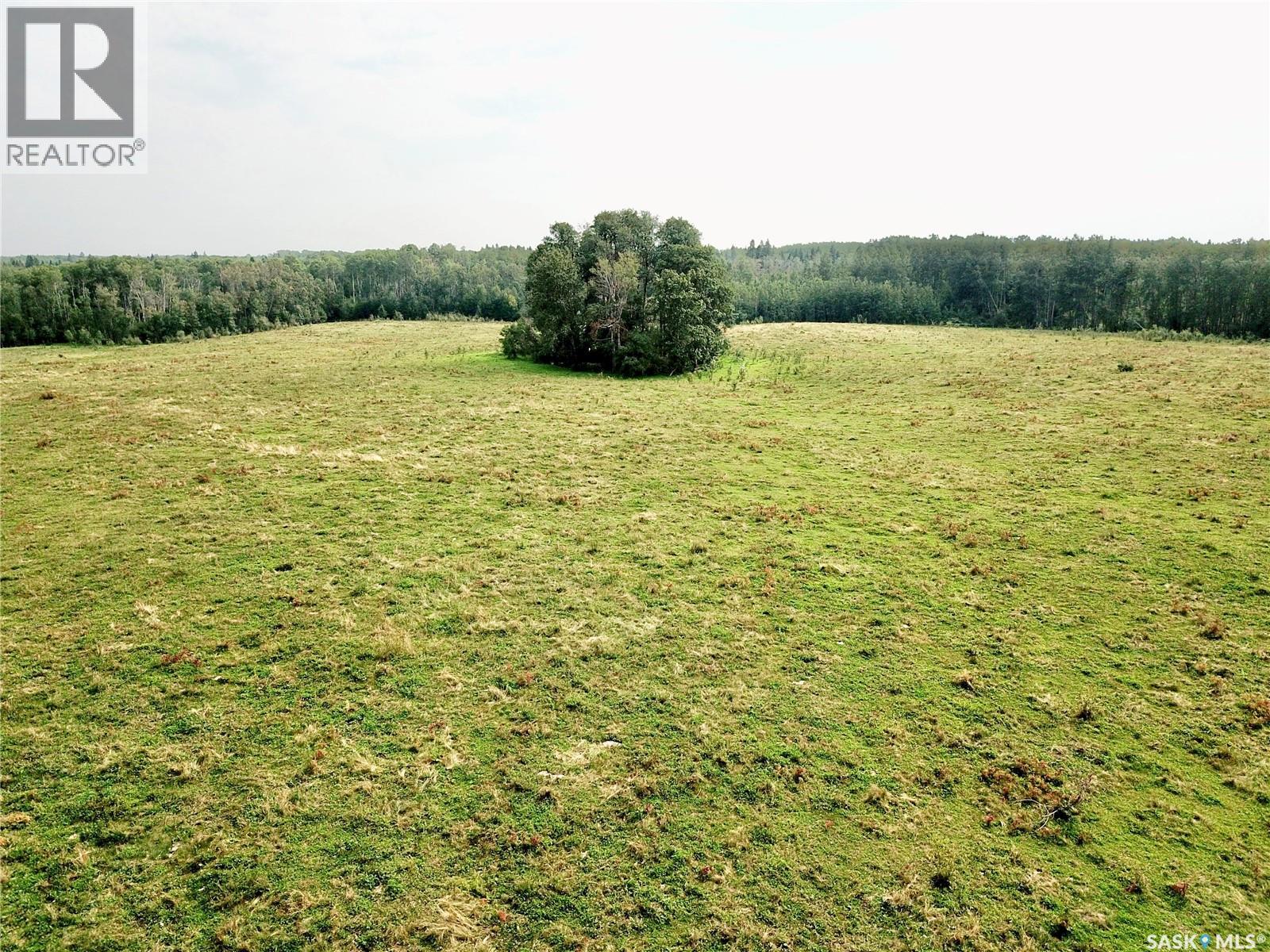 Page Pasture Half Section - N 1/2 Of 31-50-08-W3, Spiritwood Rm No. 496, Saskatchewan  S0J 2G0 - Photo 26 - SK046875