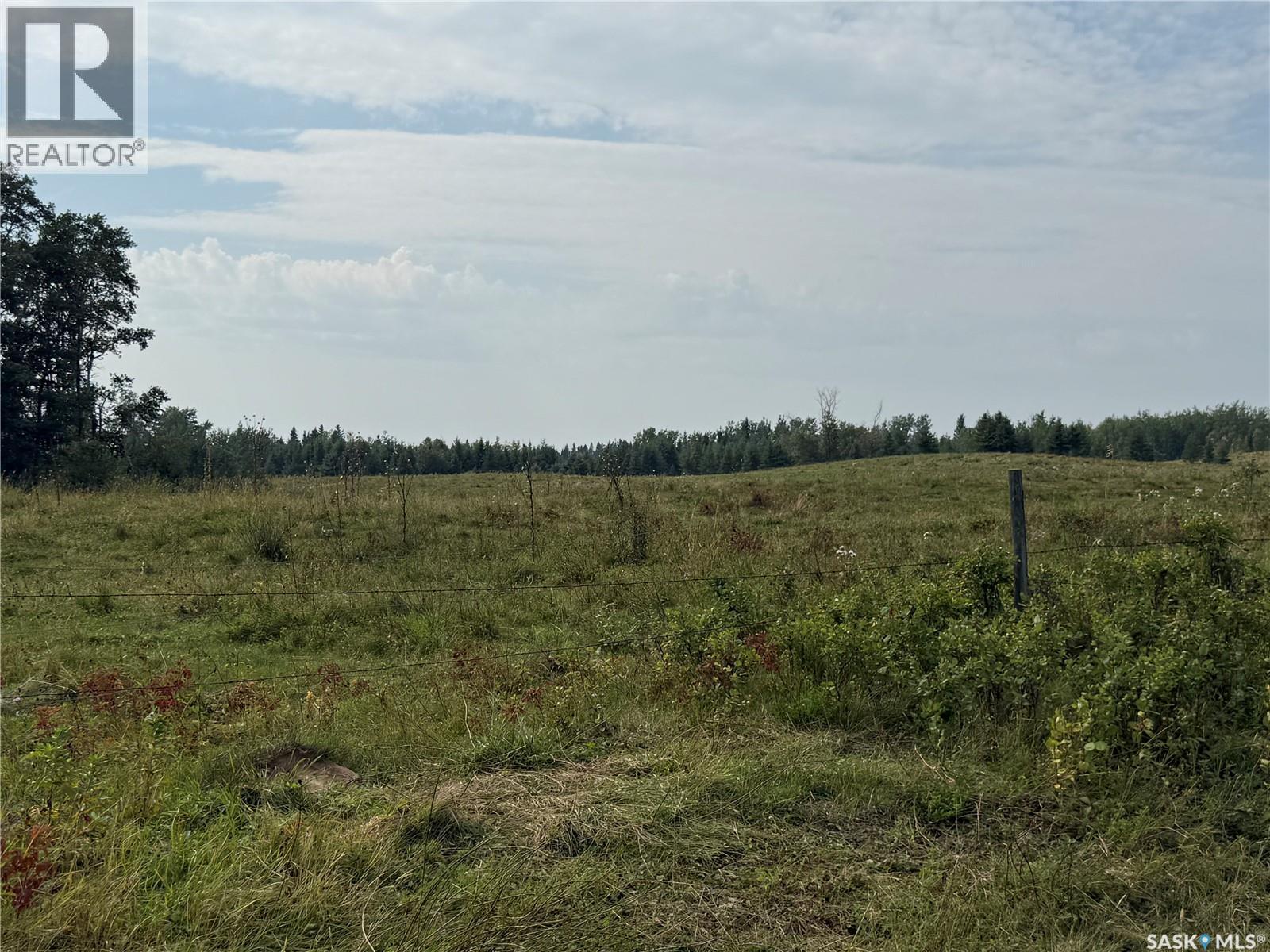 Page Pasture Half Section - N 1/2 Of 31-50-08-W3, Spiritwood Rm No. 496, Saskatchewan  S0J 2G0 - Photo 43 - SK046875