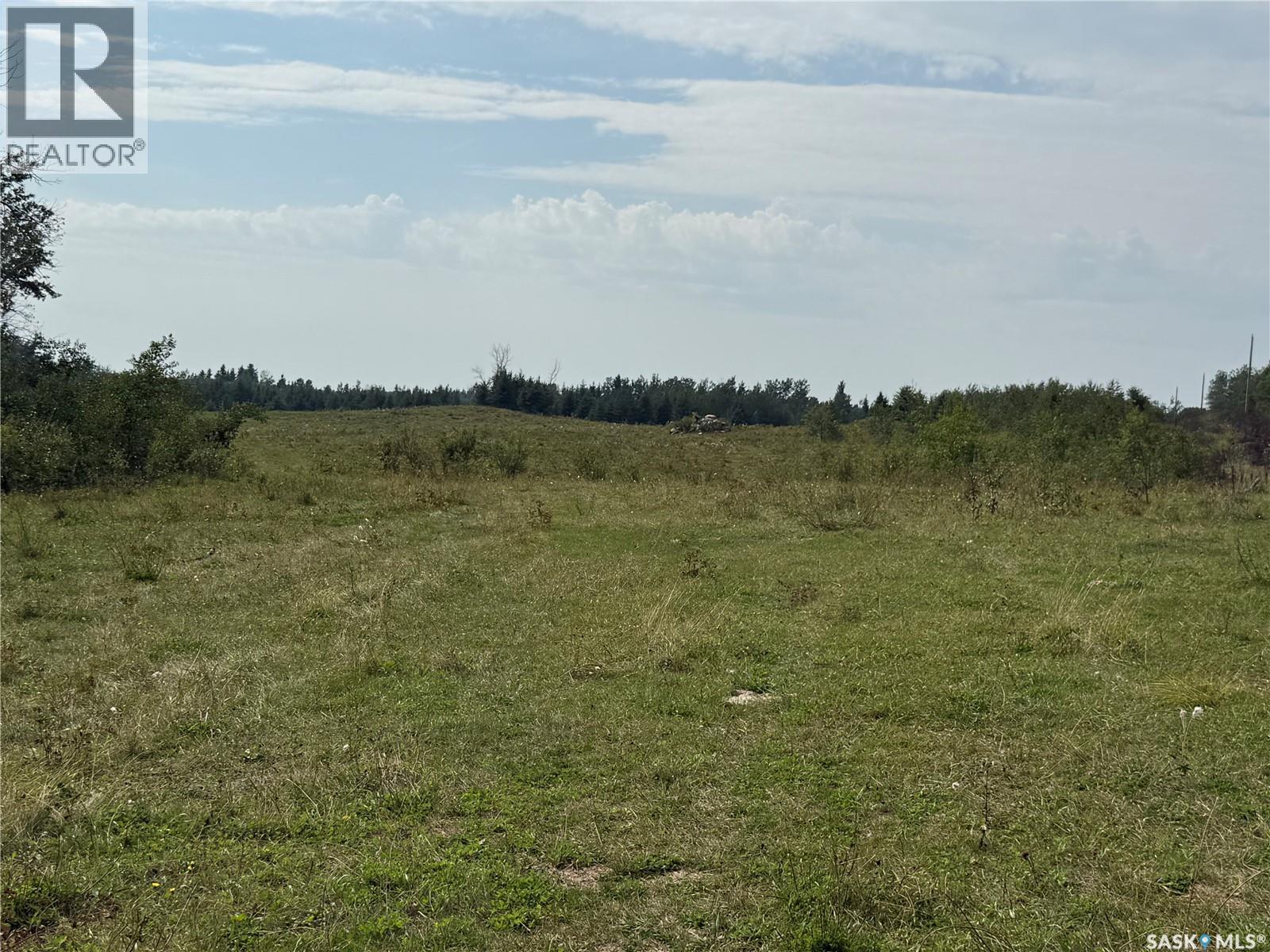 Page Pasture Half Section - N 1/2 Of 31-50-08-W3, Spiritwood Rm No. 496, Saskatchewan  S0J 2G0 - Photo 44 - SK046875