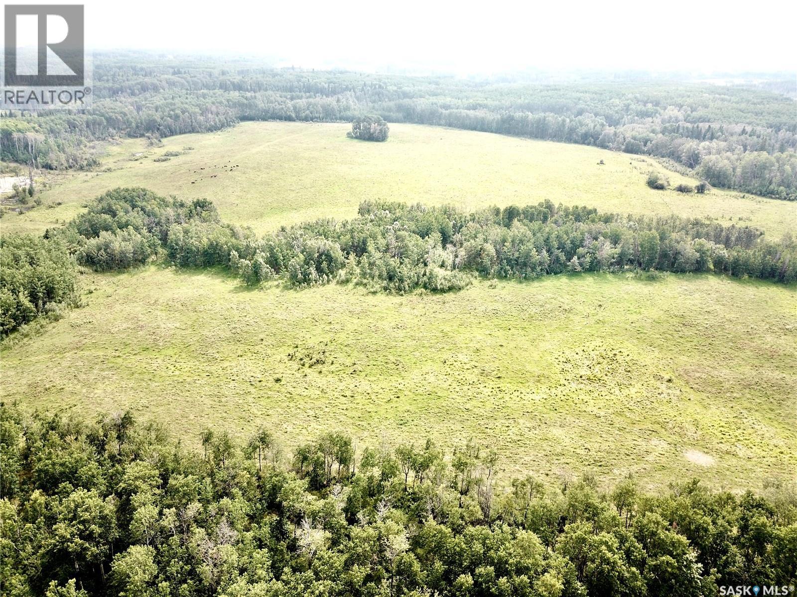 Page Pasture Half Section - N 1/2 Of 31-50-08-W3, Spiritwood Rm No. 496, Saskatchewan  S0J 2G0 - Photo 6 - SK046875
