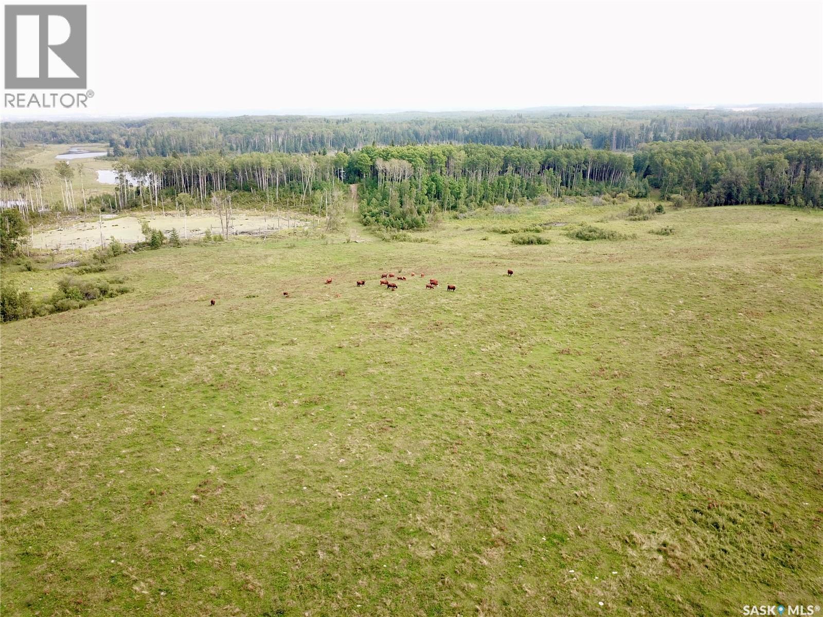 Page Pasture Half Section - N 1/2 Of 31-50-08-W3, Spiritwood Rm No. 496, Saskatchewan  S0J 2G0 - Photo 7 - SK046875