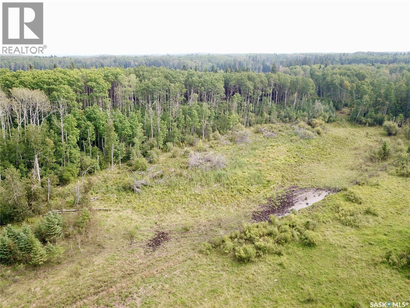 Page Pasture Half Section - N 1/2 Of 31-50-08-W3, Spiritwood Rm No. 496, Saskatchewan  S0J 2G0 - Photo 8 - SK046875