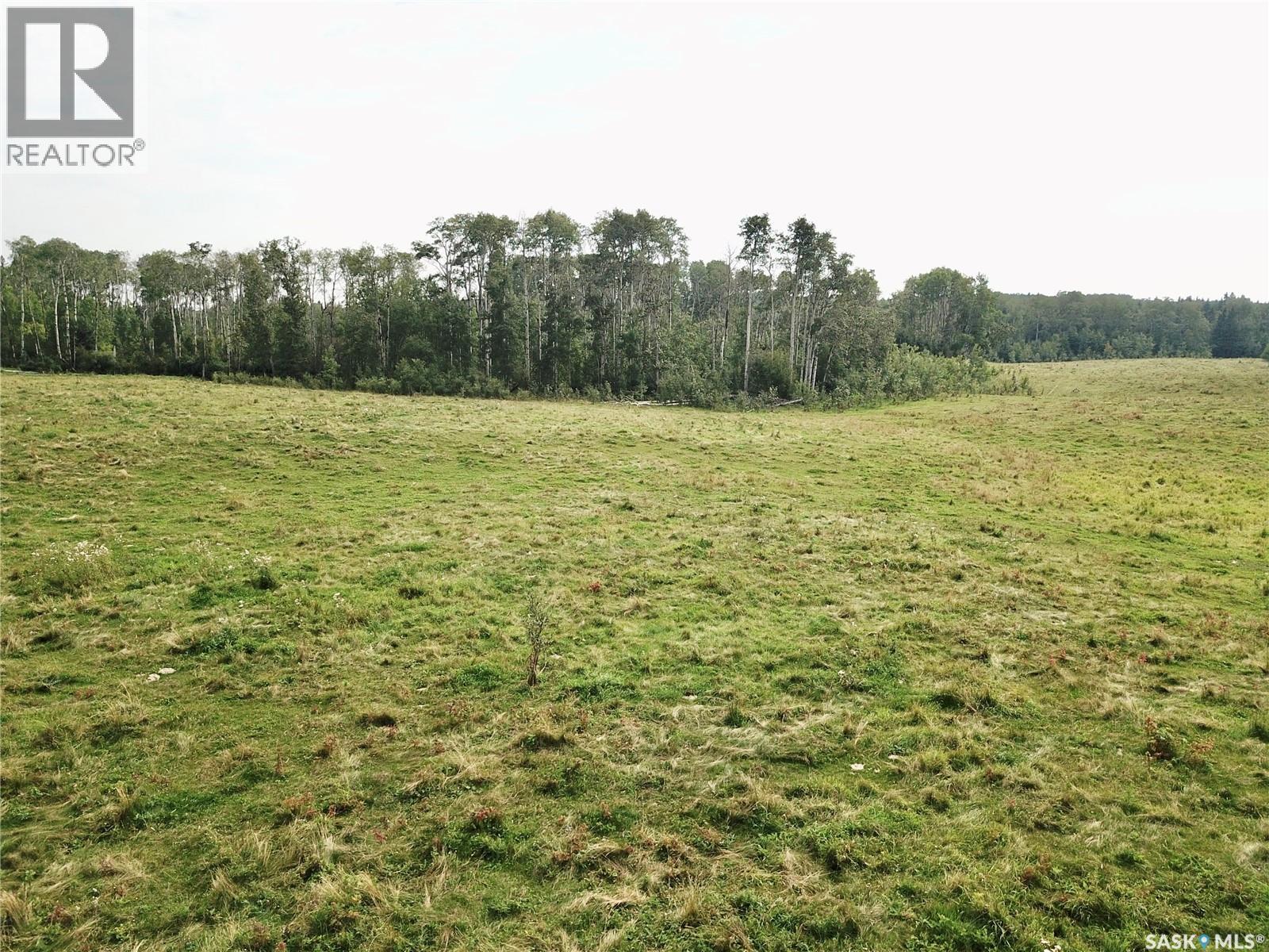 Page Pasture Half Section - N 1/2 Of 31-50-08-W3, Spiritwood Rm No. 496, Saskatchewan  S0J 2G0 - Photo 9 - SK046875