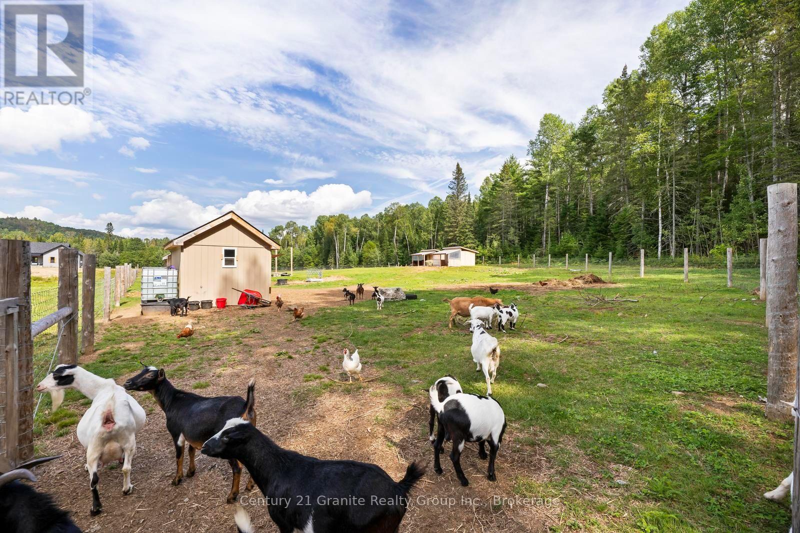 605 Browns Road, Brudenell, Ontario  K0L 1G0 - Photo 43 - X13723736